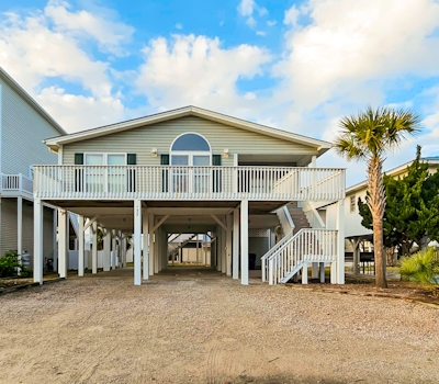 OIB59 The Carolina Shell