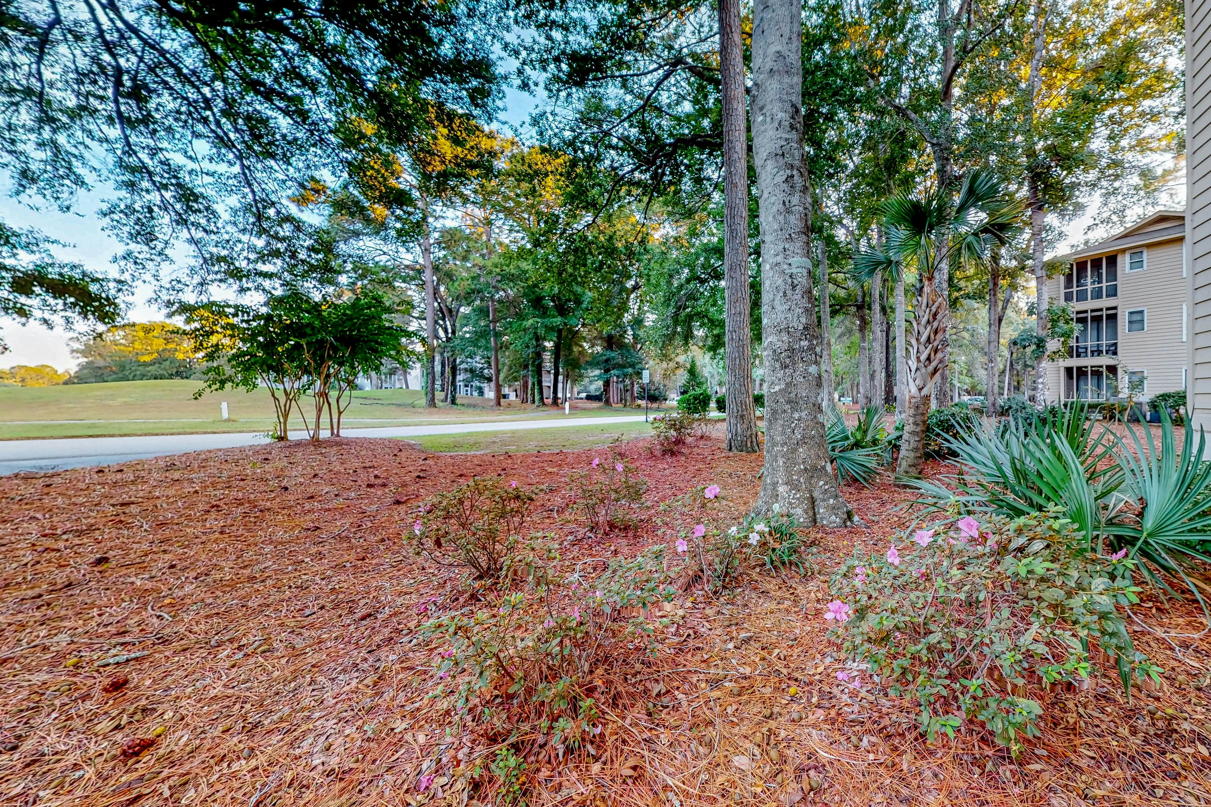 SB45B Ev's Escape, 201B