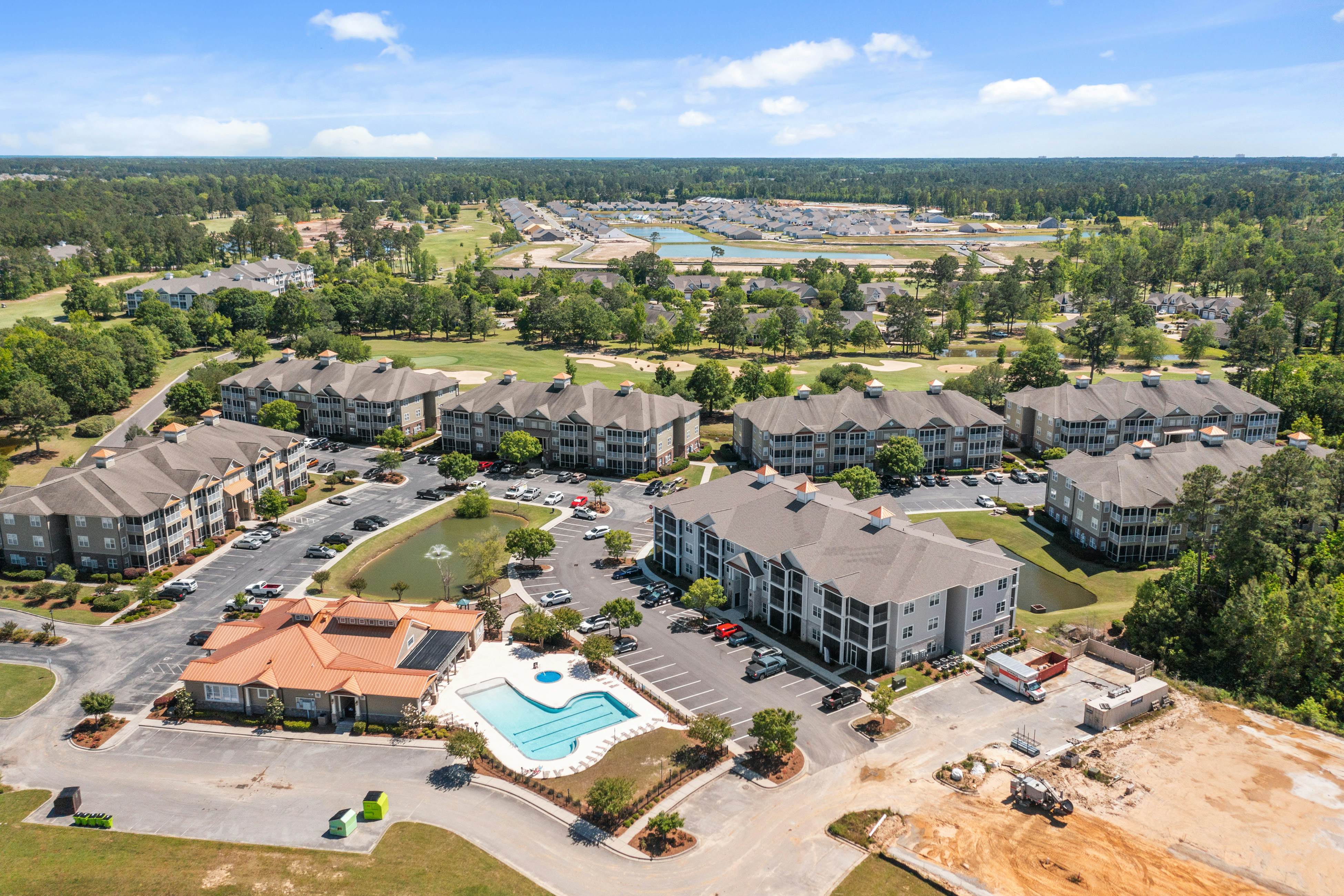 CAL08 Crow Creek Carolina Greens