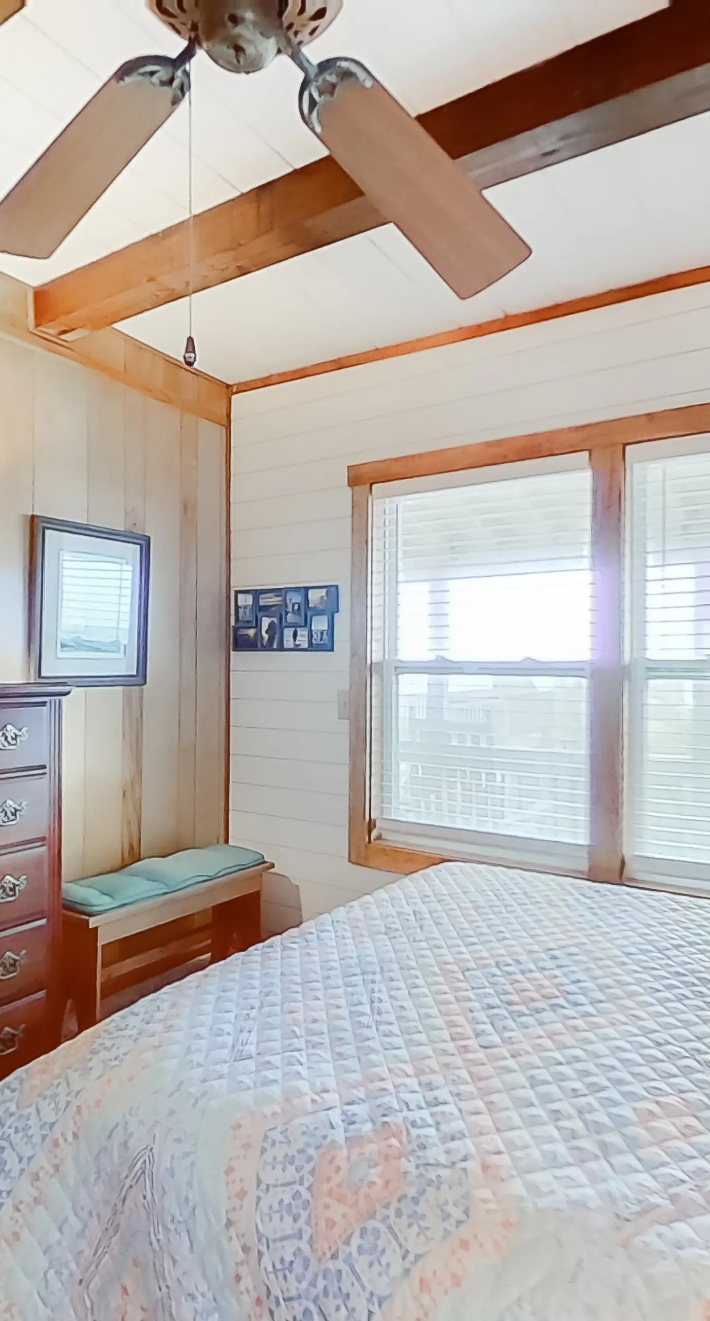 HB36 Best Hall Around