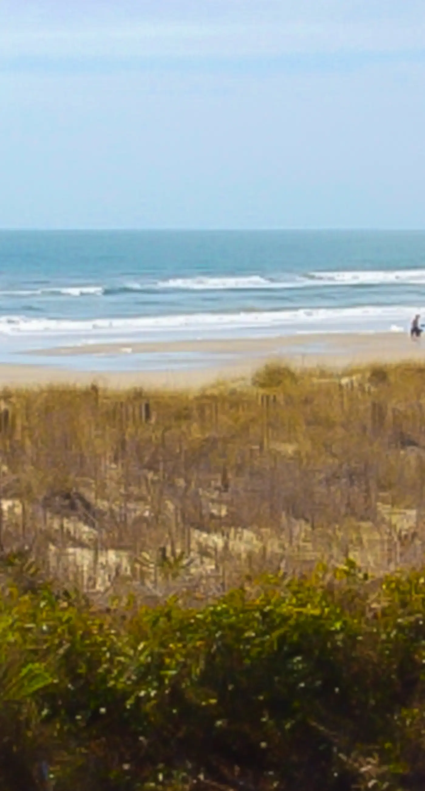 HB36 Best Hall Around