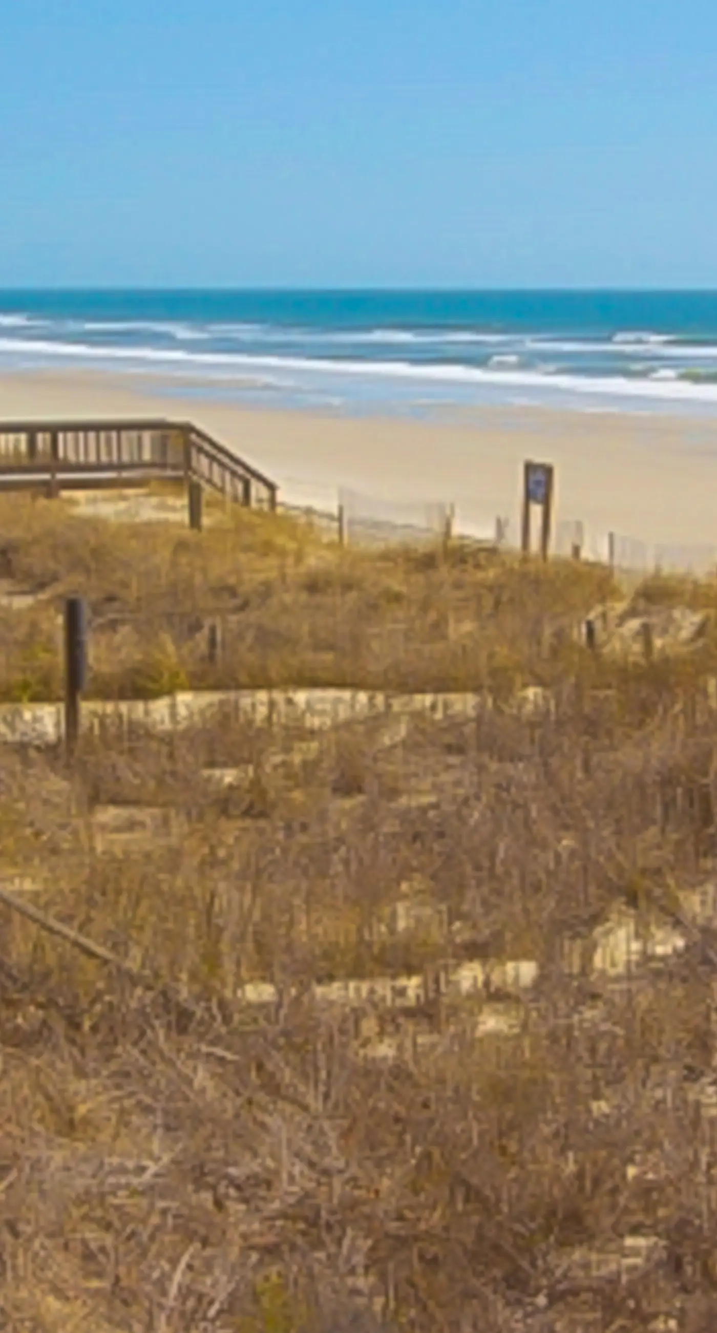 HB36 Best Hall Around