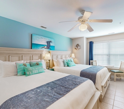 CAL18 Cozy in Calabash