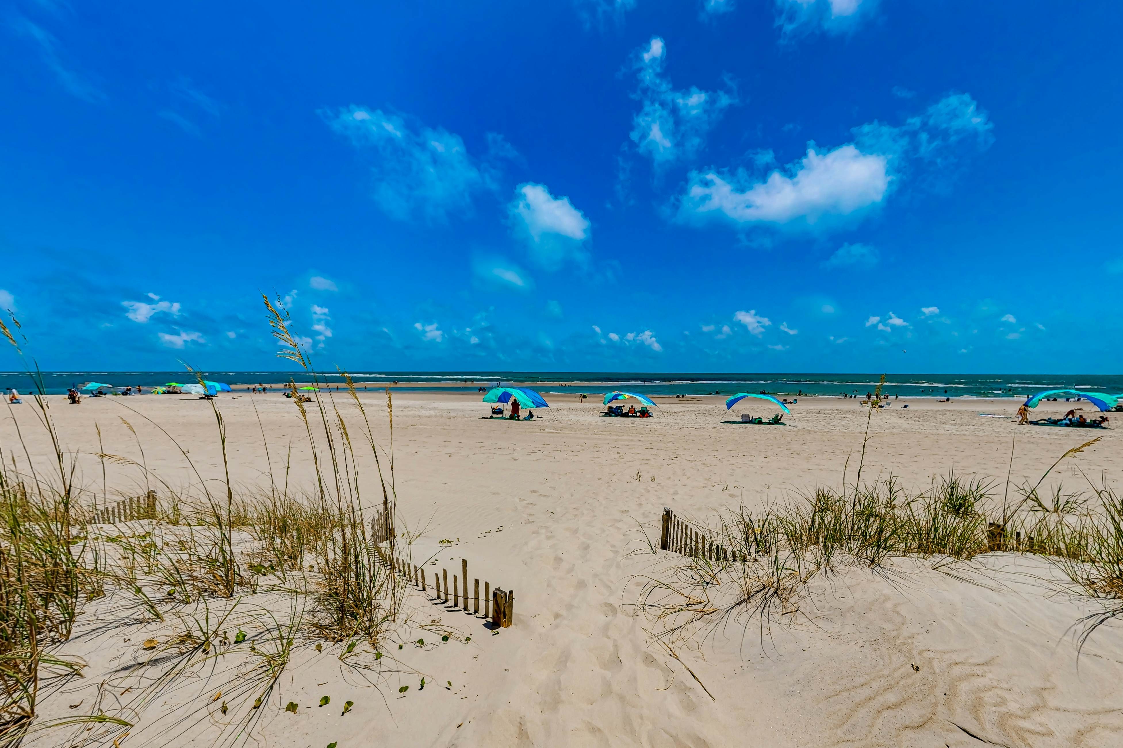 HB148 Queen B by the Sea