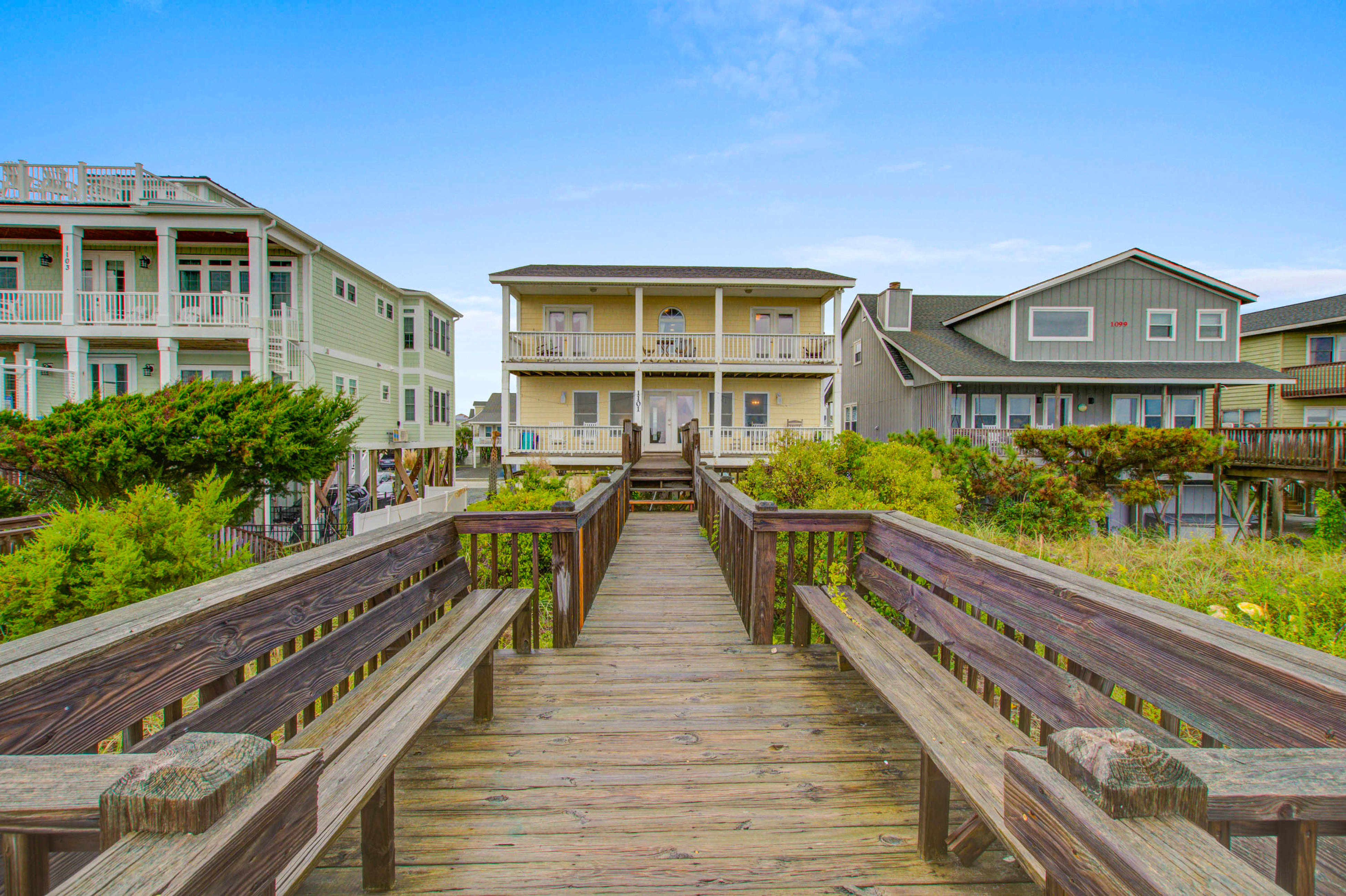 HB207  Turtle Landing