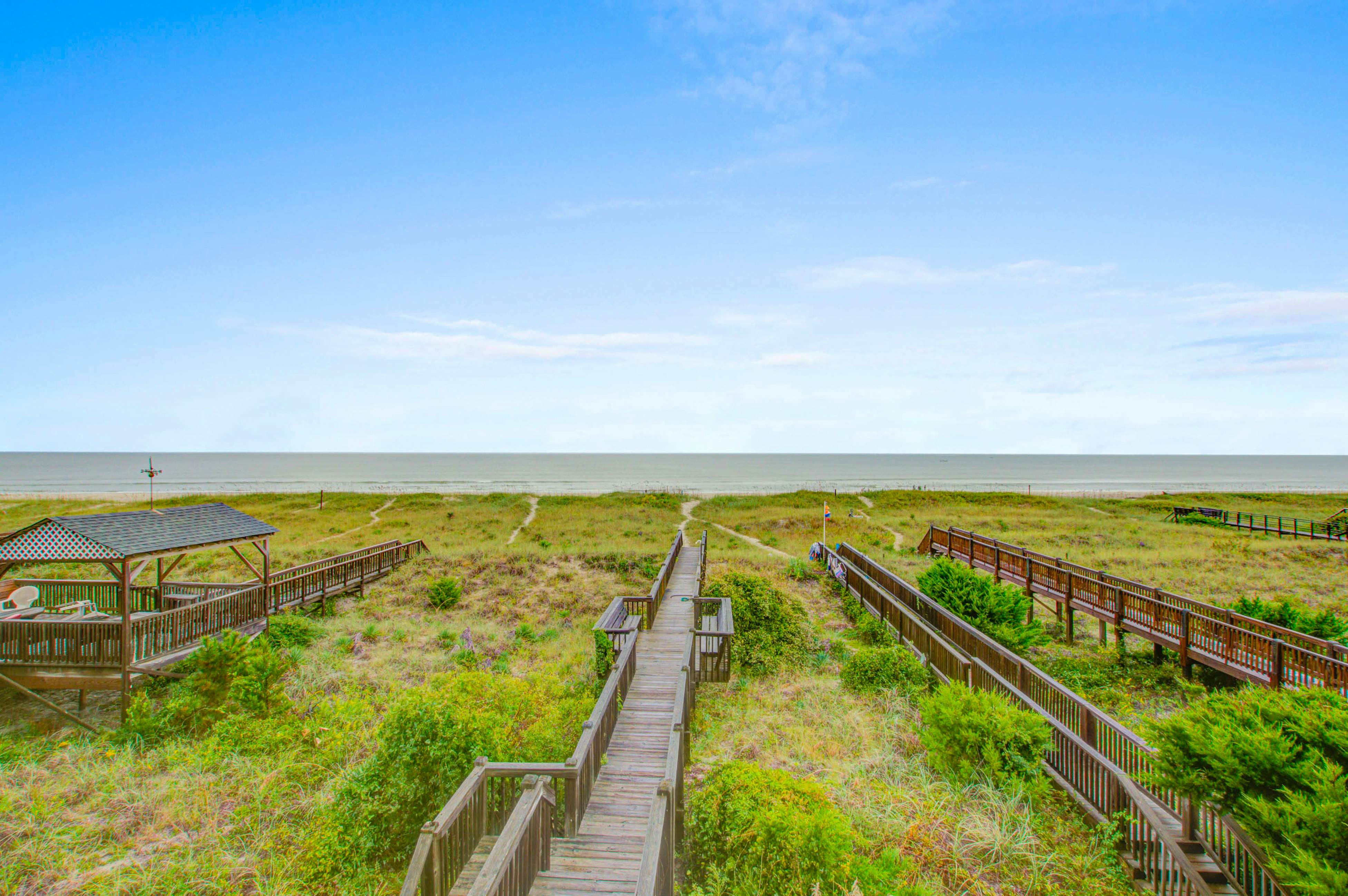 HB207  Turtle Landing