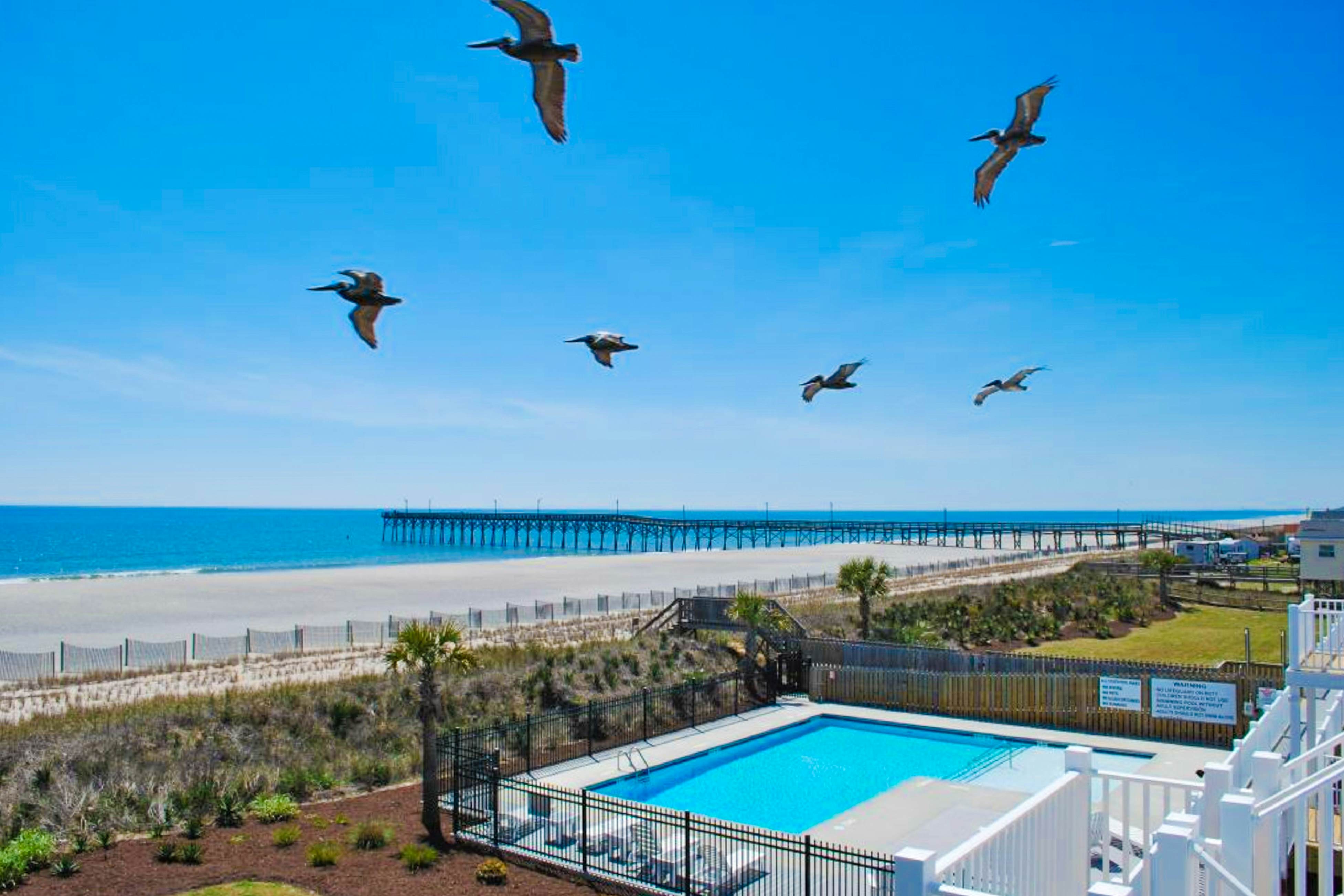 HB219 Waters Edge 433-C OBW