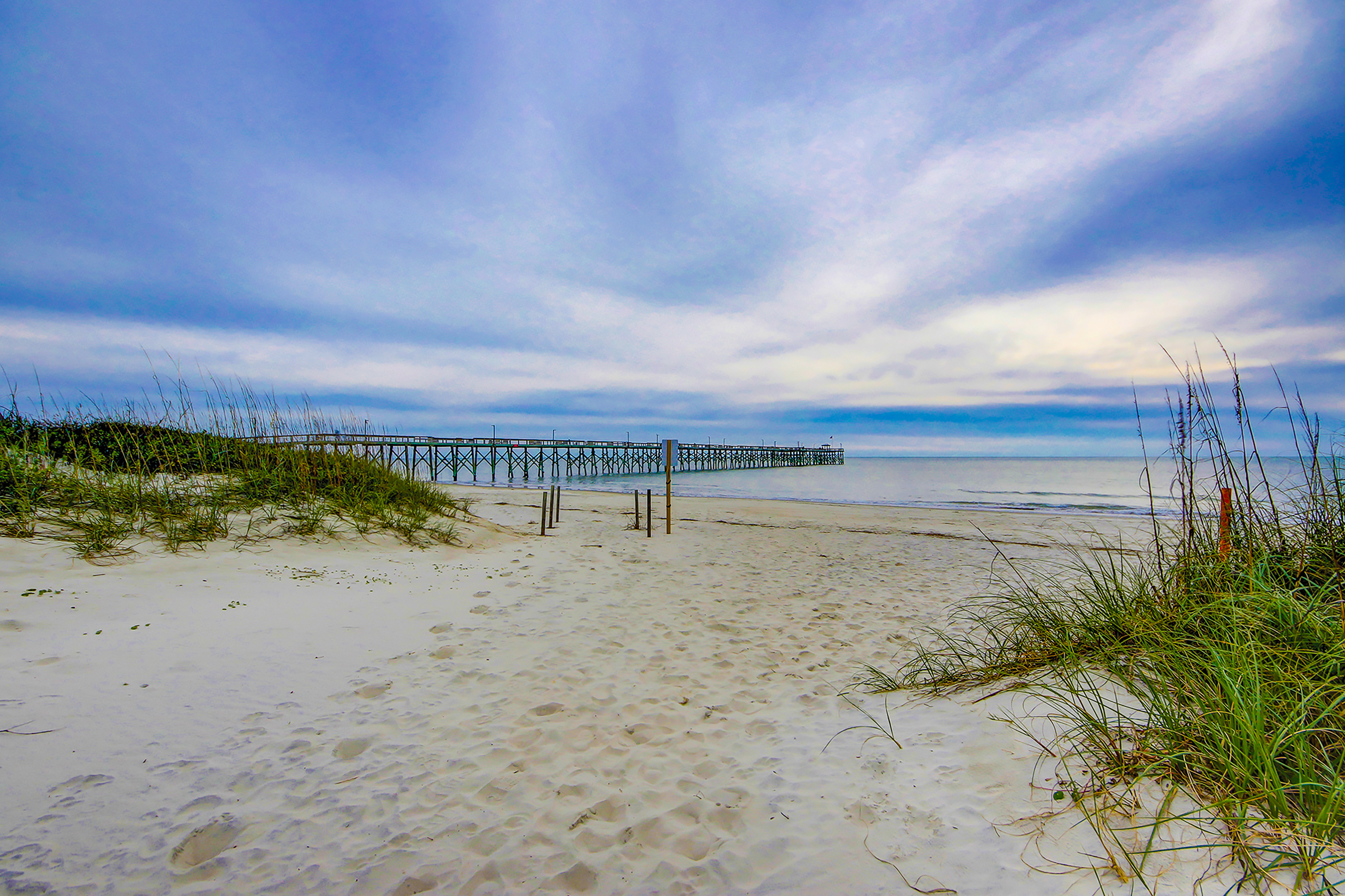 Cozy stay close to everything with backyard, bikes, grill, & washer/dryer