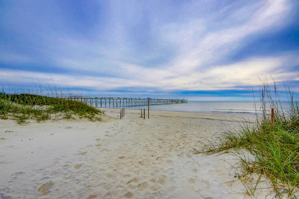 Cozy stay close to everything with backyard, bikes, grill, & washer/dryer