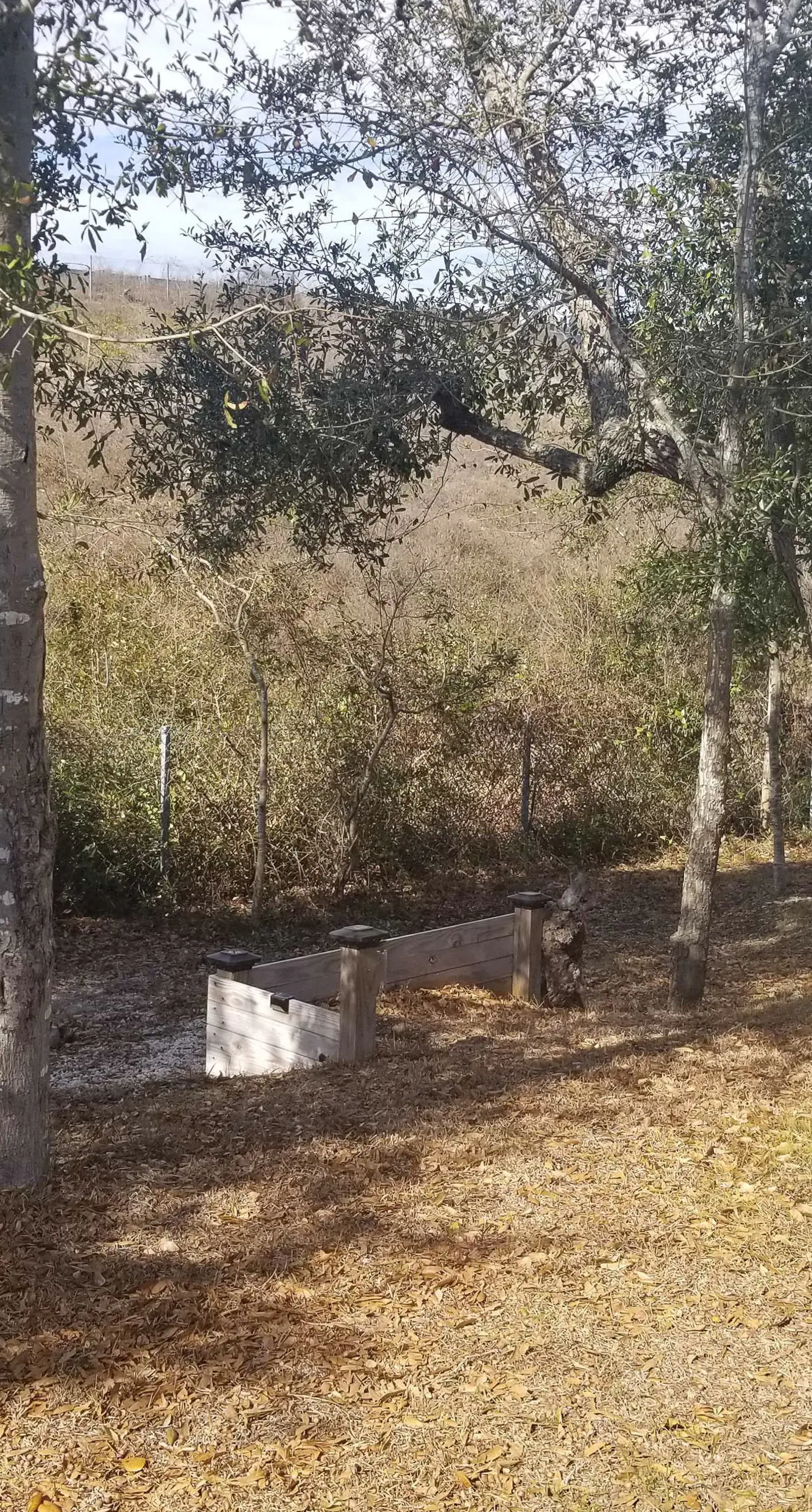 OAI37 Oak Island Oasis
