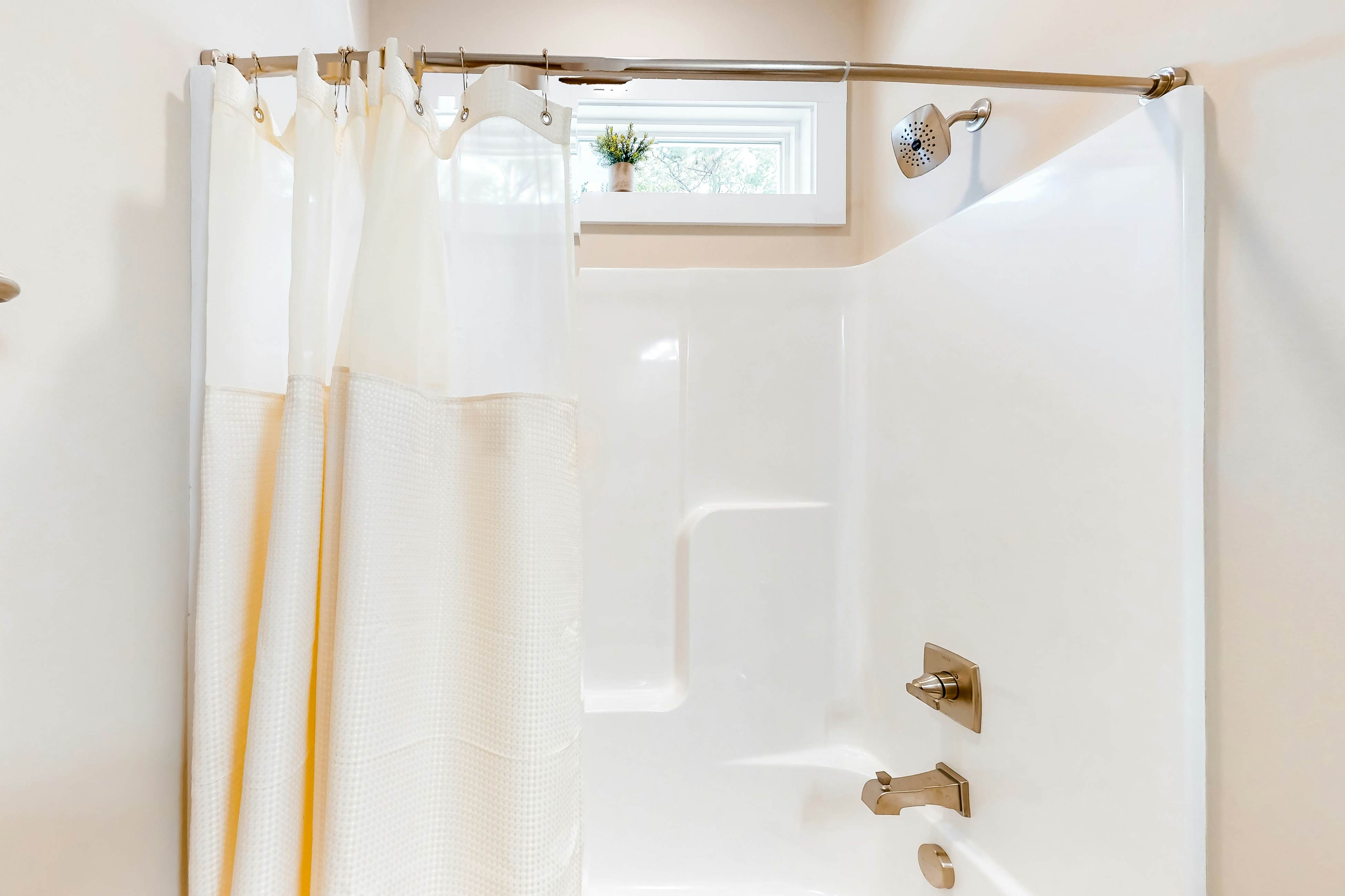 OAI67 Pawsitive Island Escape