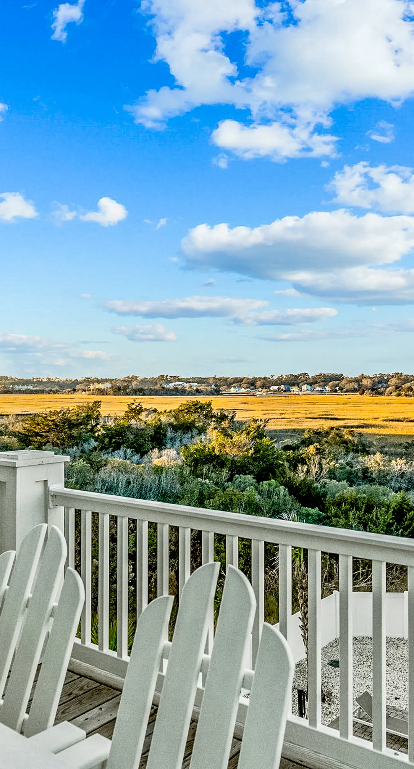 OIB22 Bella Vista
