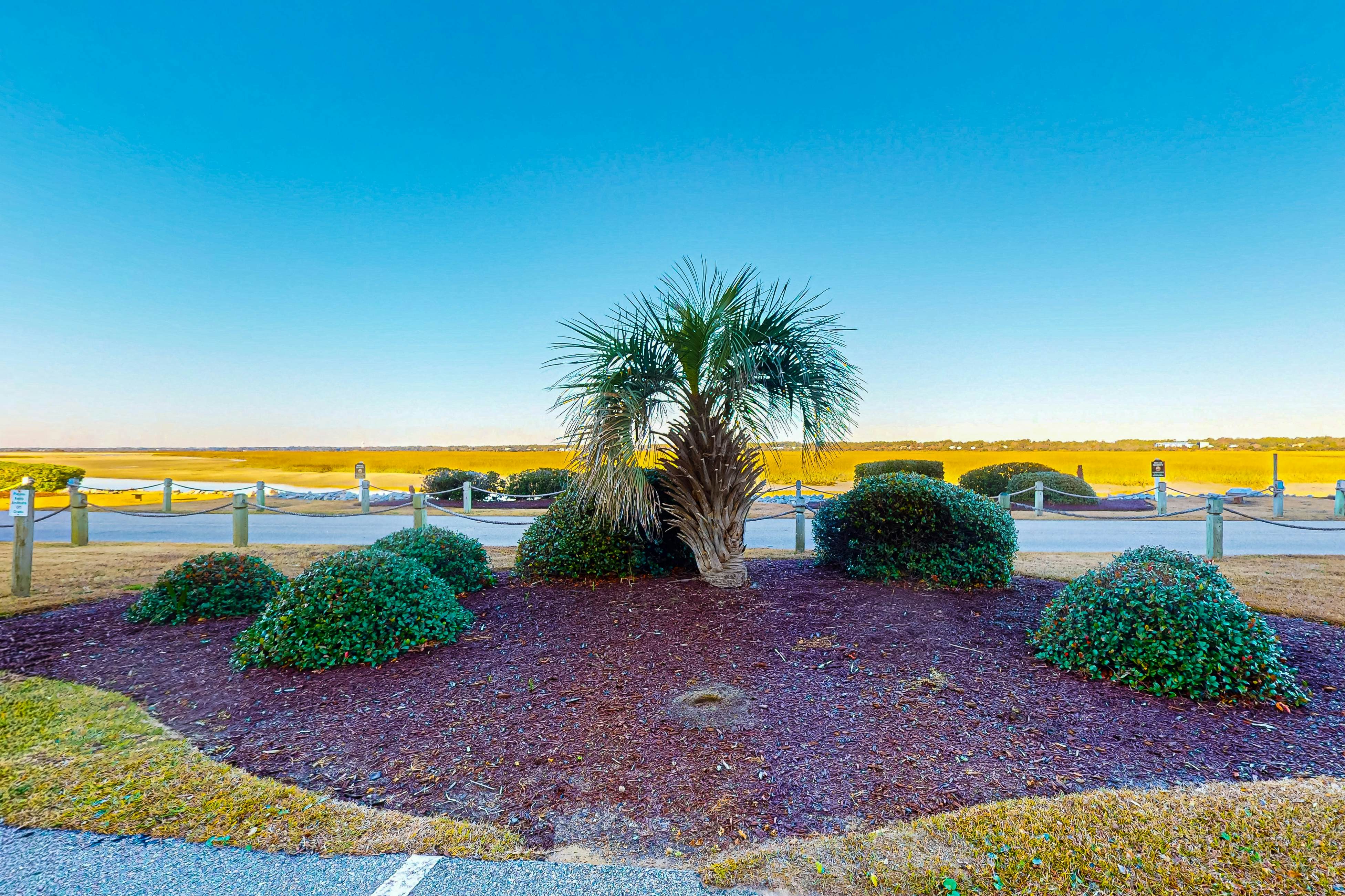 OIB73 Kat Cove 1