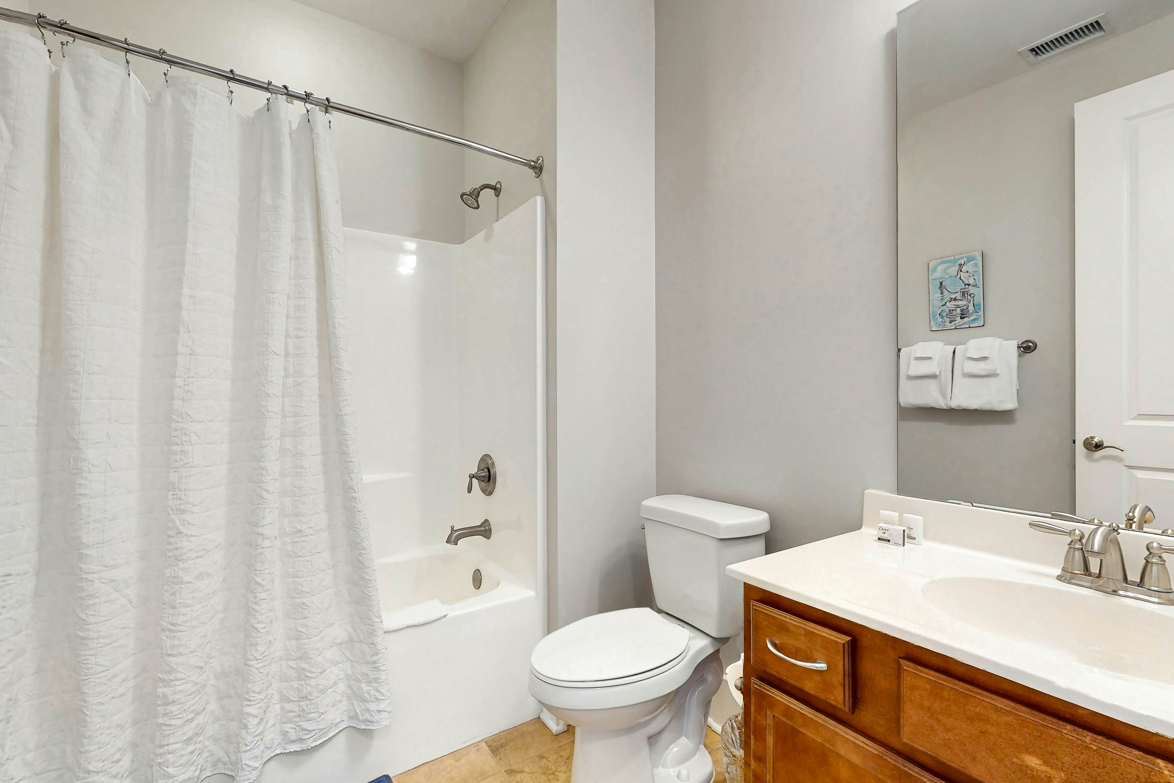 STJ12 The Birds Nest