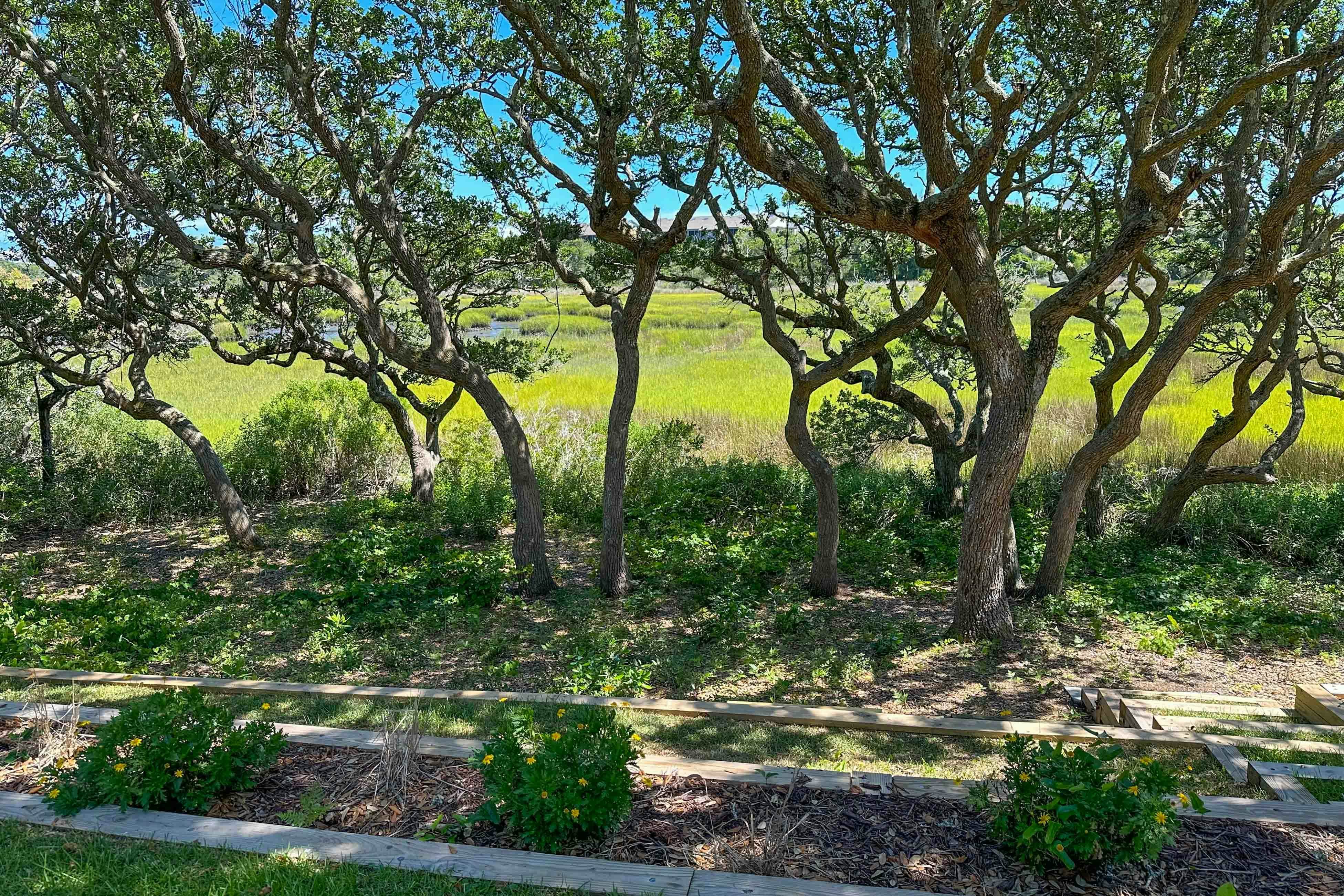 AB162 Hidden in the Oaks