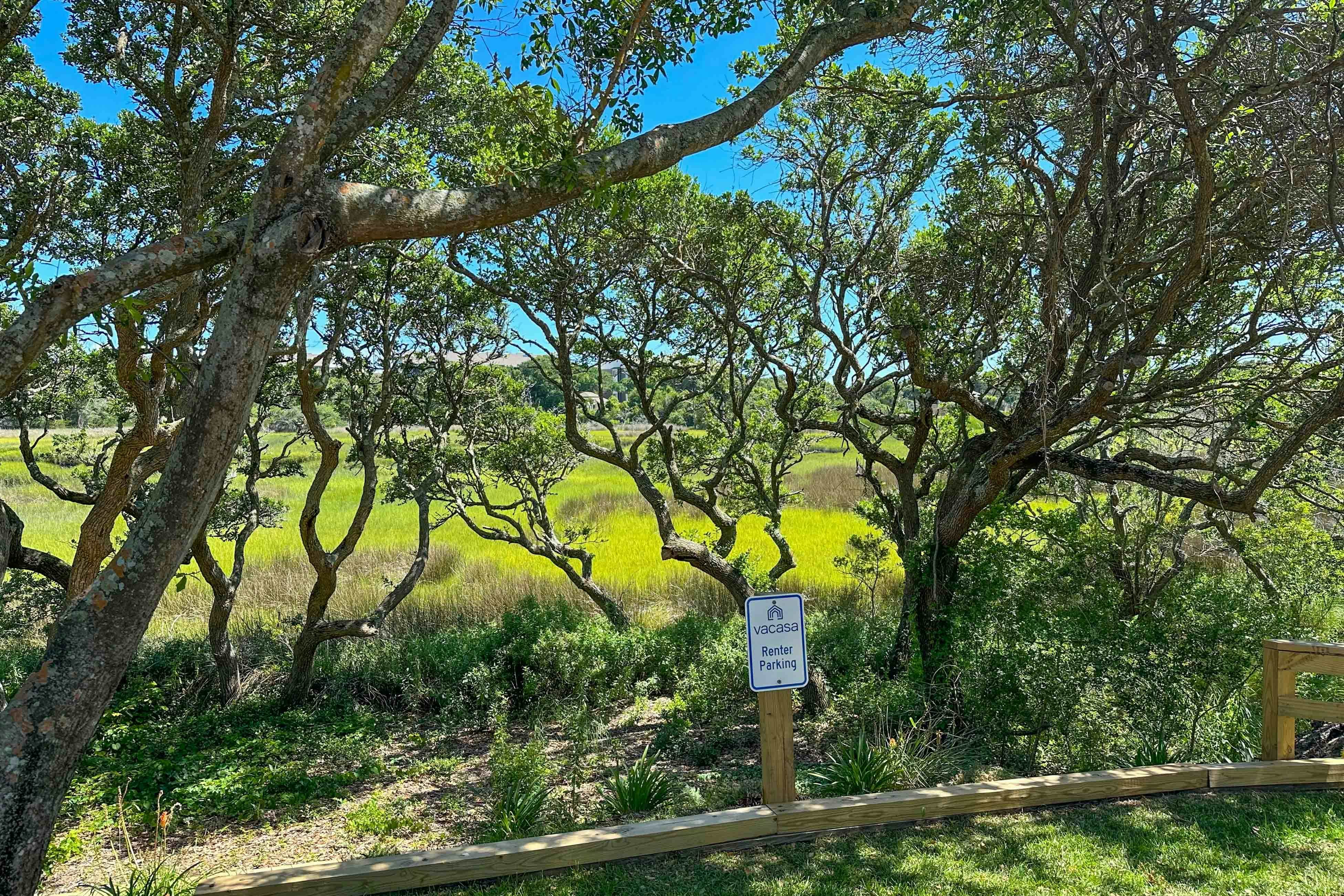 AB162 Hidden in the Oaks