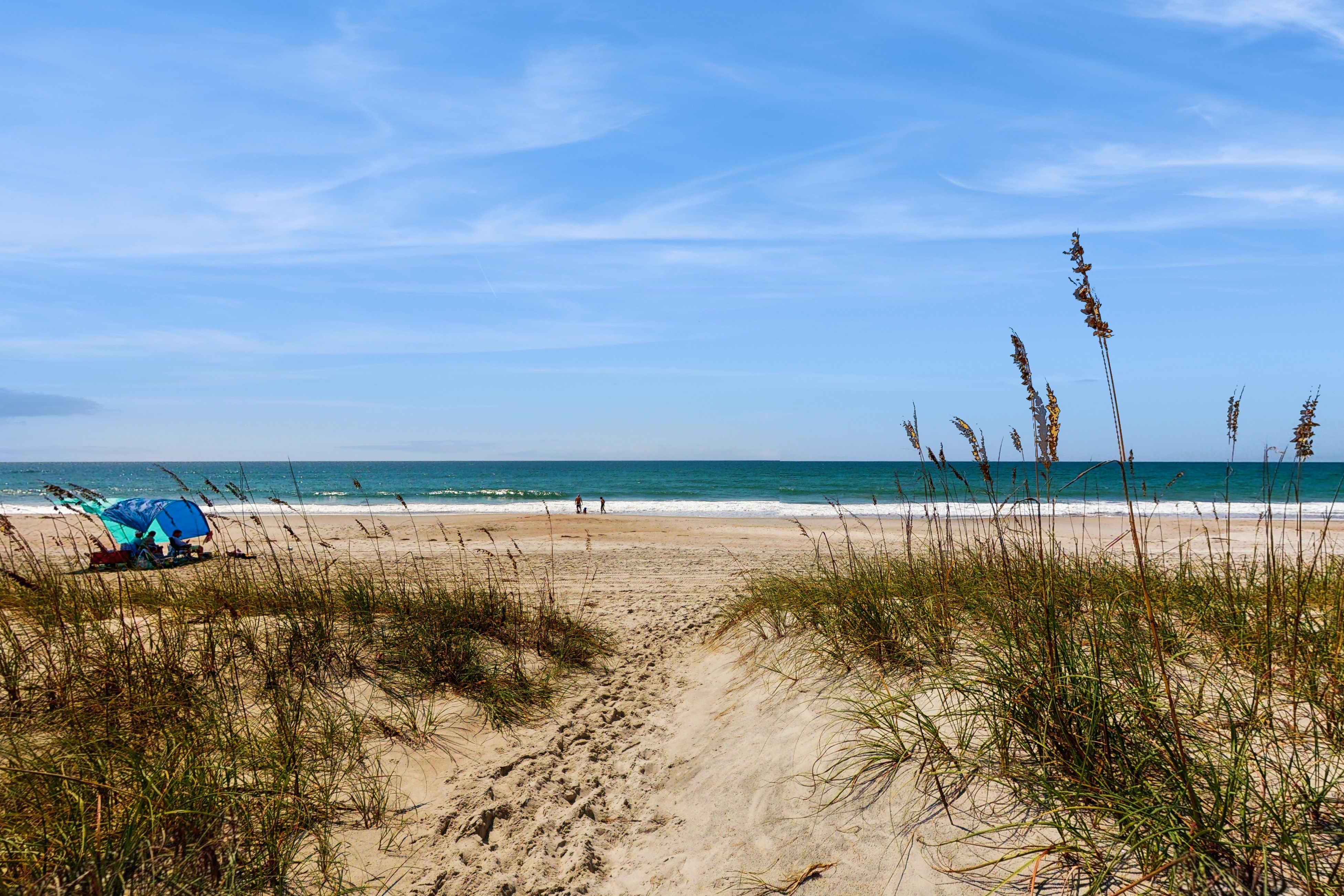 Oceanfront beach cottage with large deck & W/D - dog-friendly