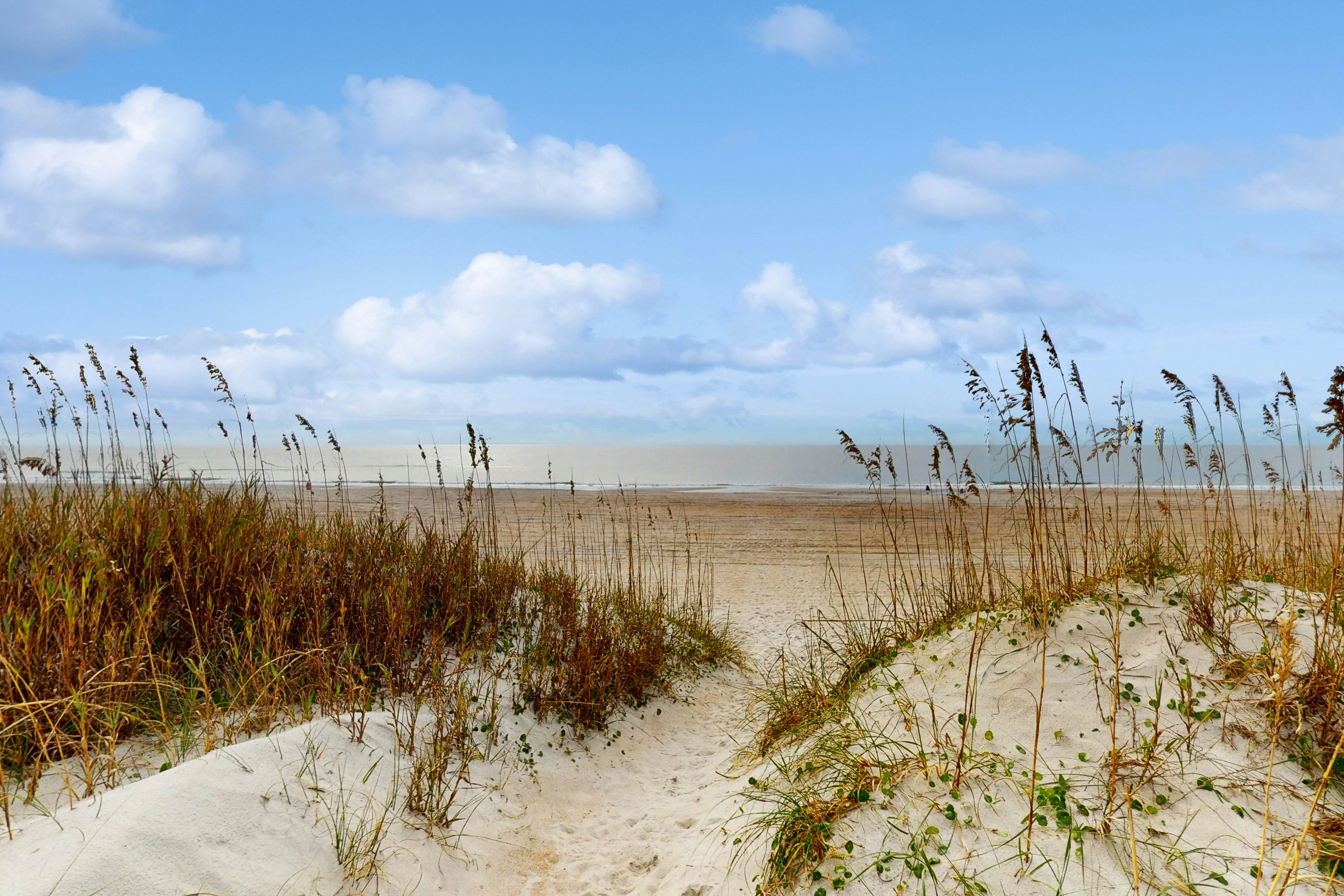 ABSS103 Seaspray 232