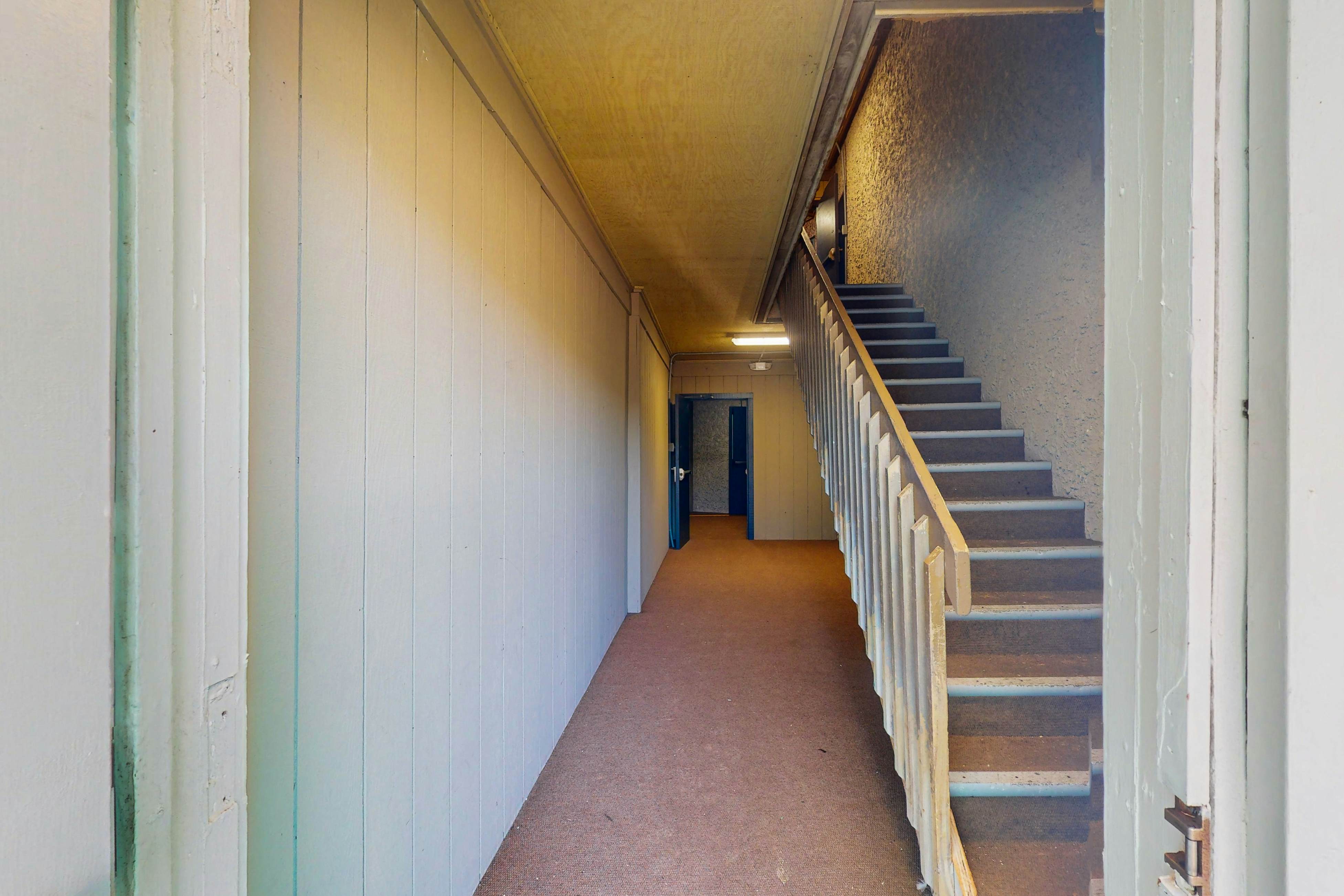 ABSS151 Seaspray 305