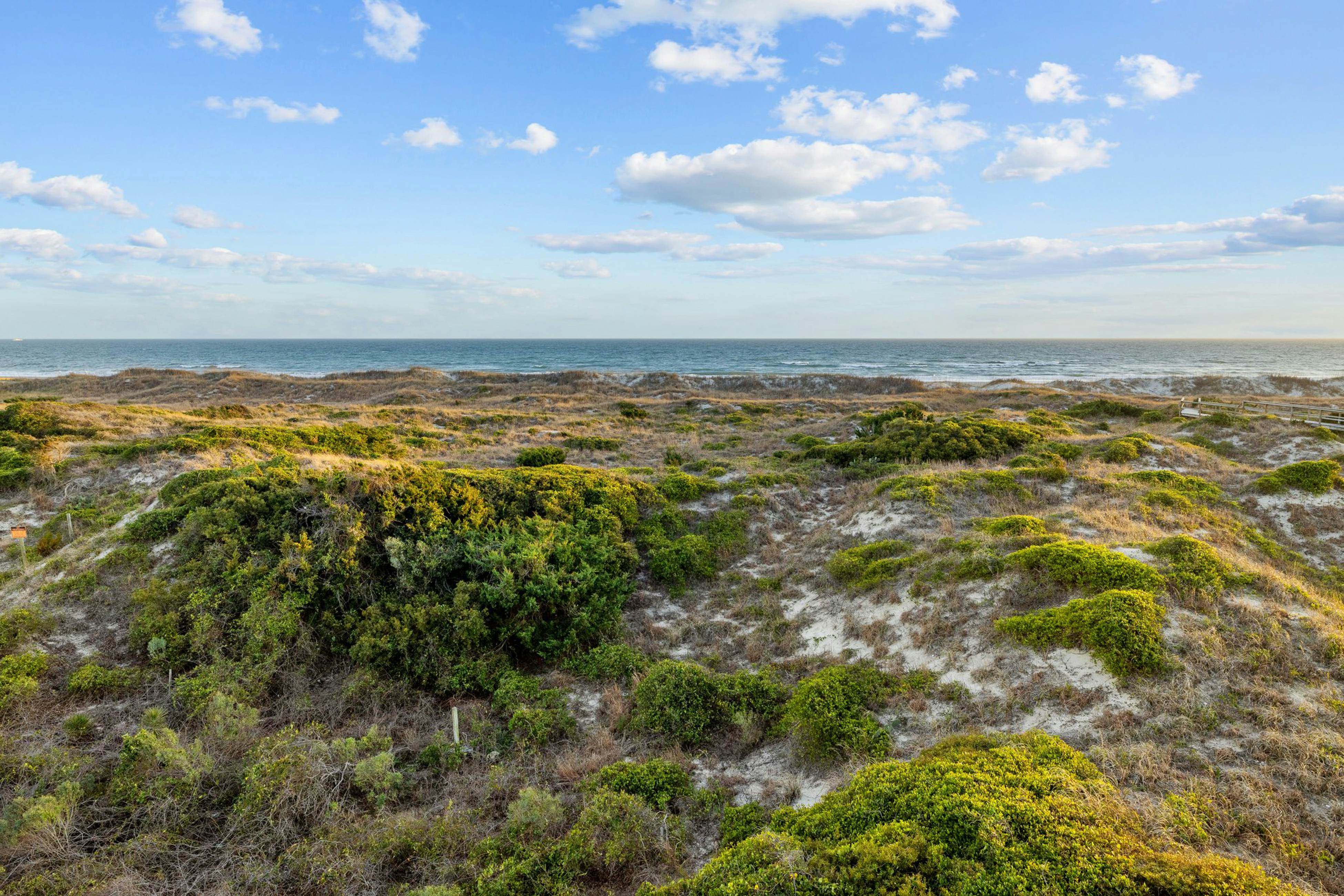 ABSS159 Seaspray 313