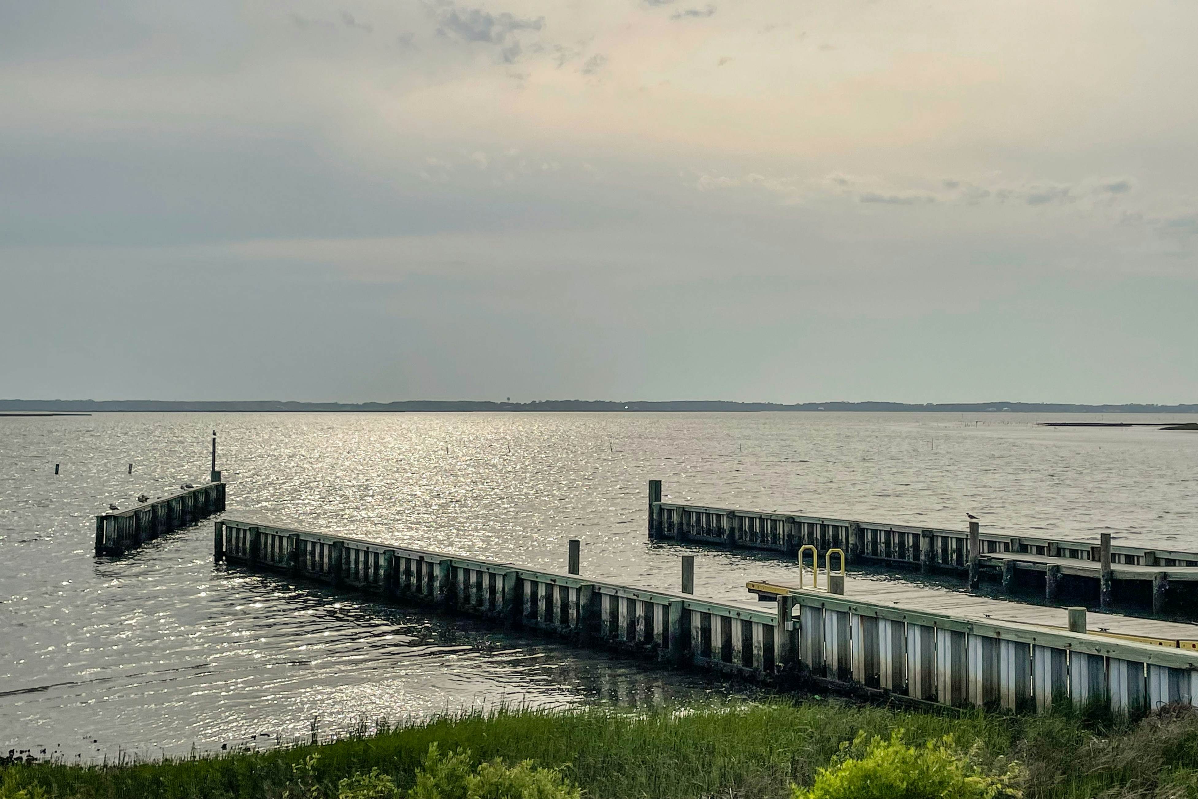 BFCT18 Living the Dream