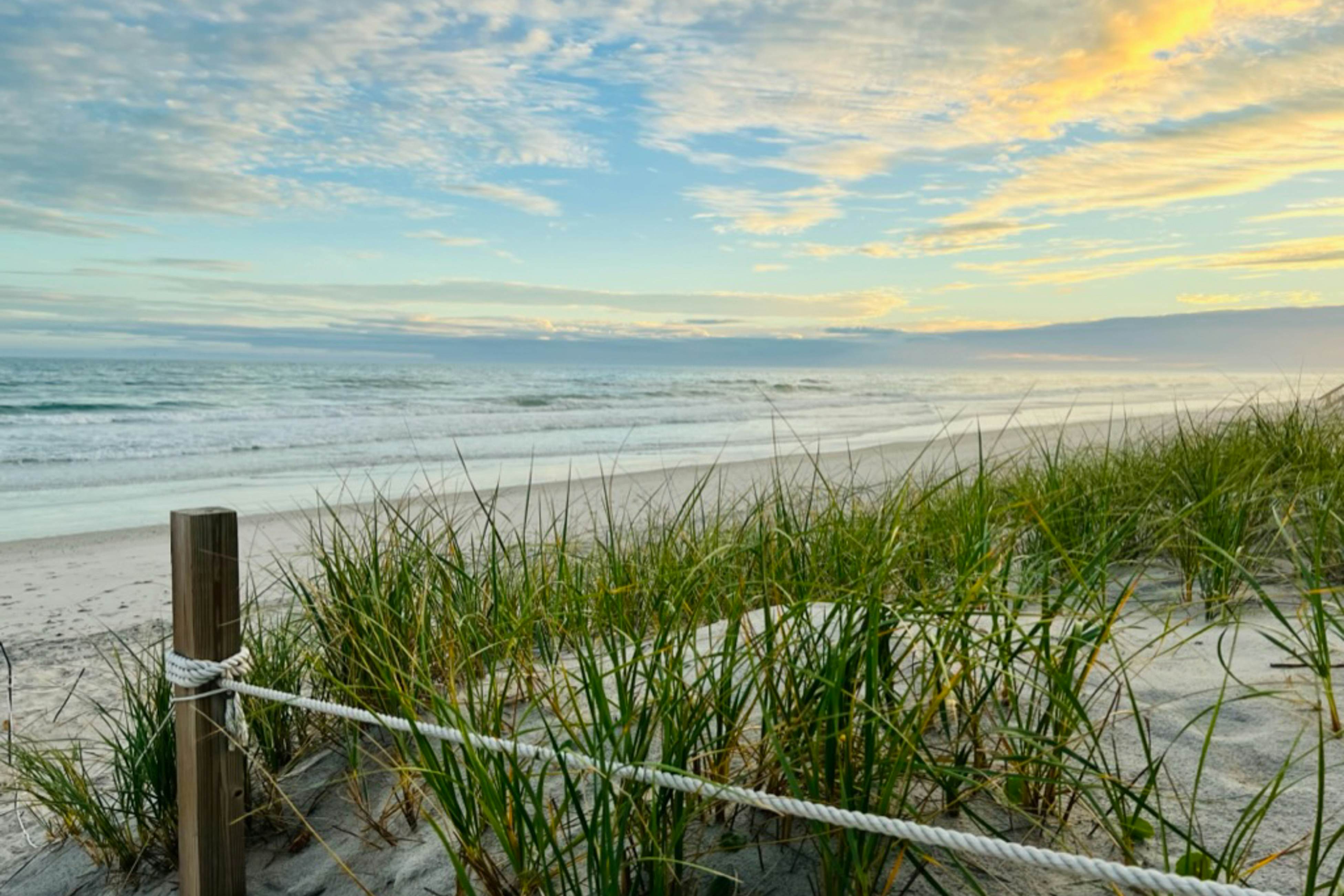 SC8026 The Hornet's Nest