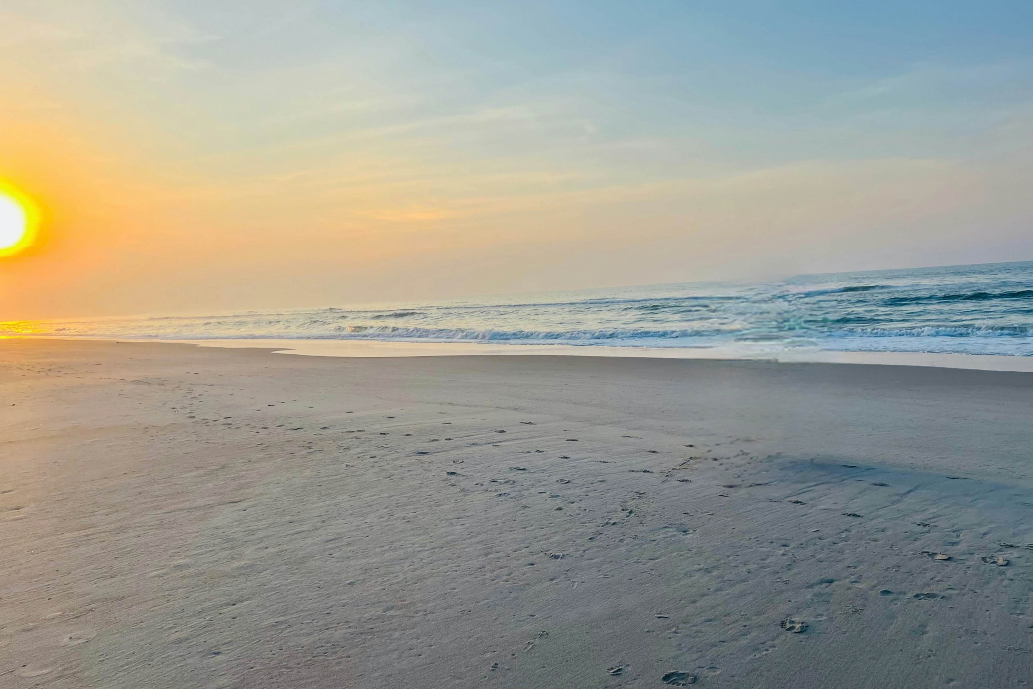 SC8026 The Hornet's Nest