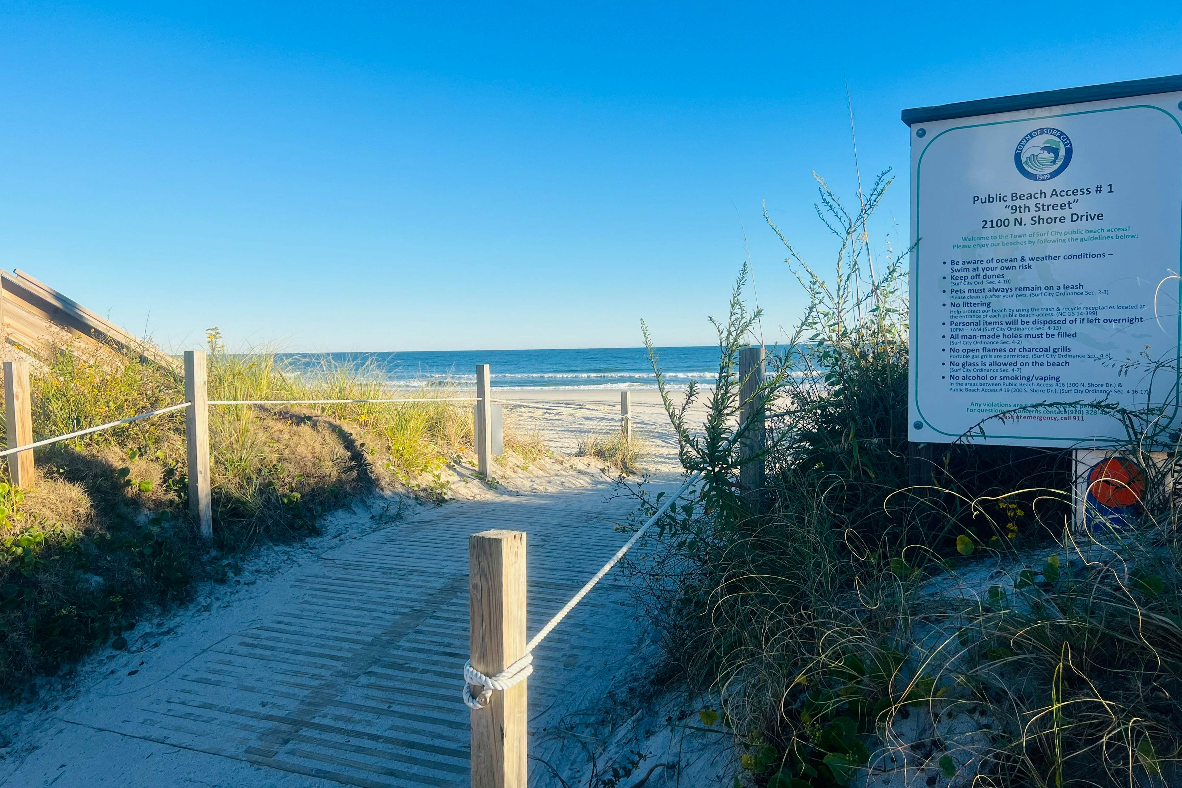 SC8026 The Hornet's Nest