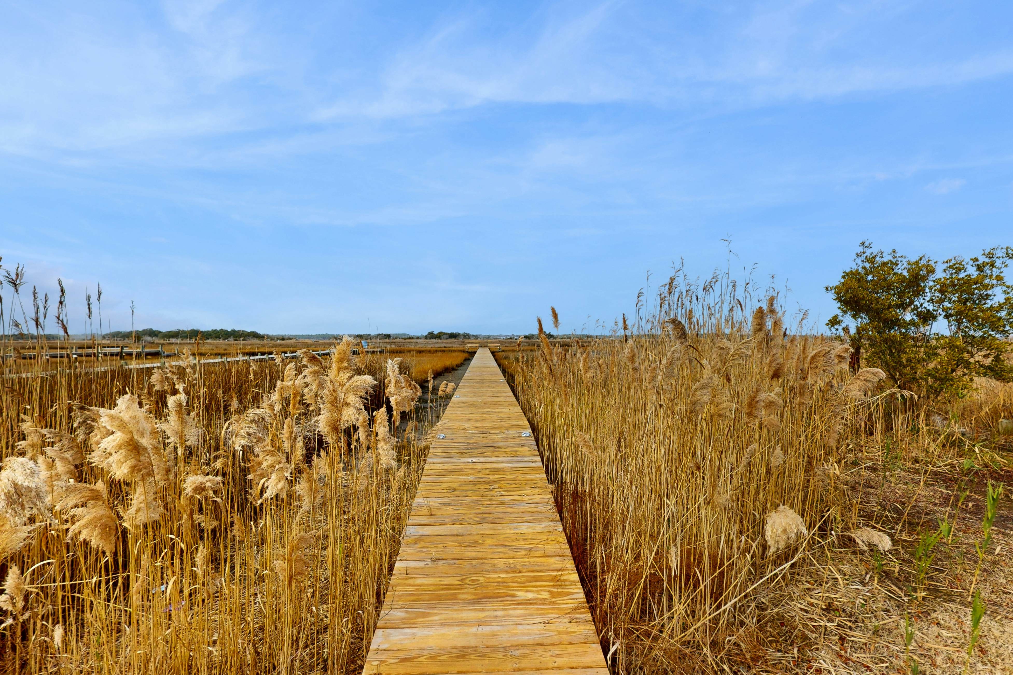 SC1013 Mahara-A Coastal Retreat