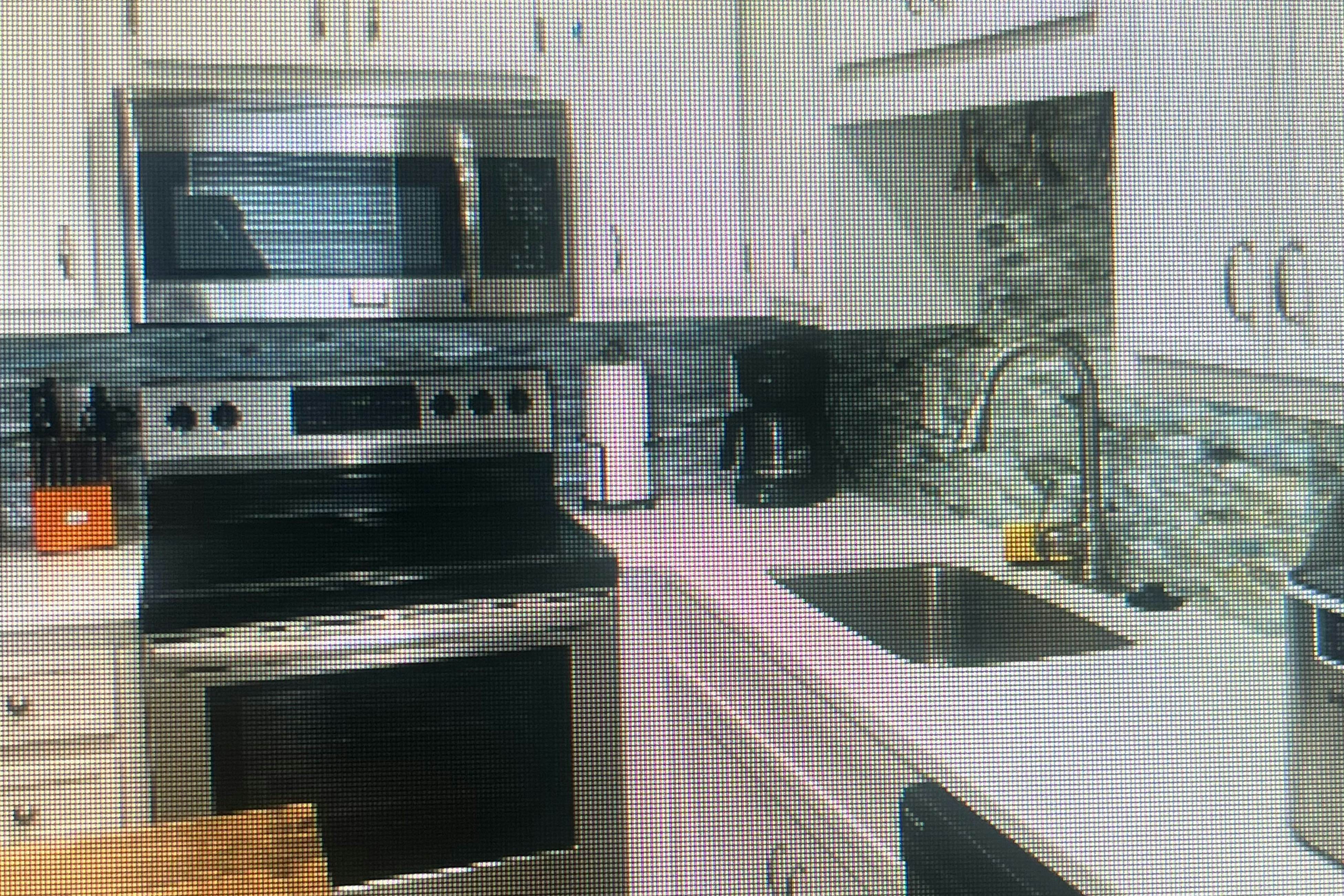 NTB48 The Sleepy Seastar