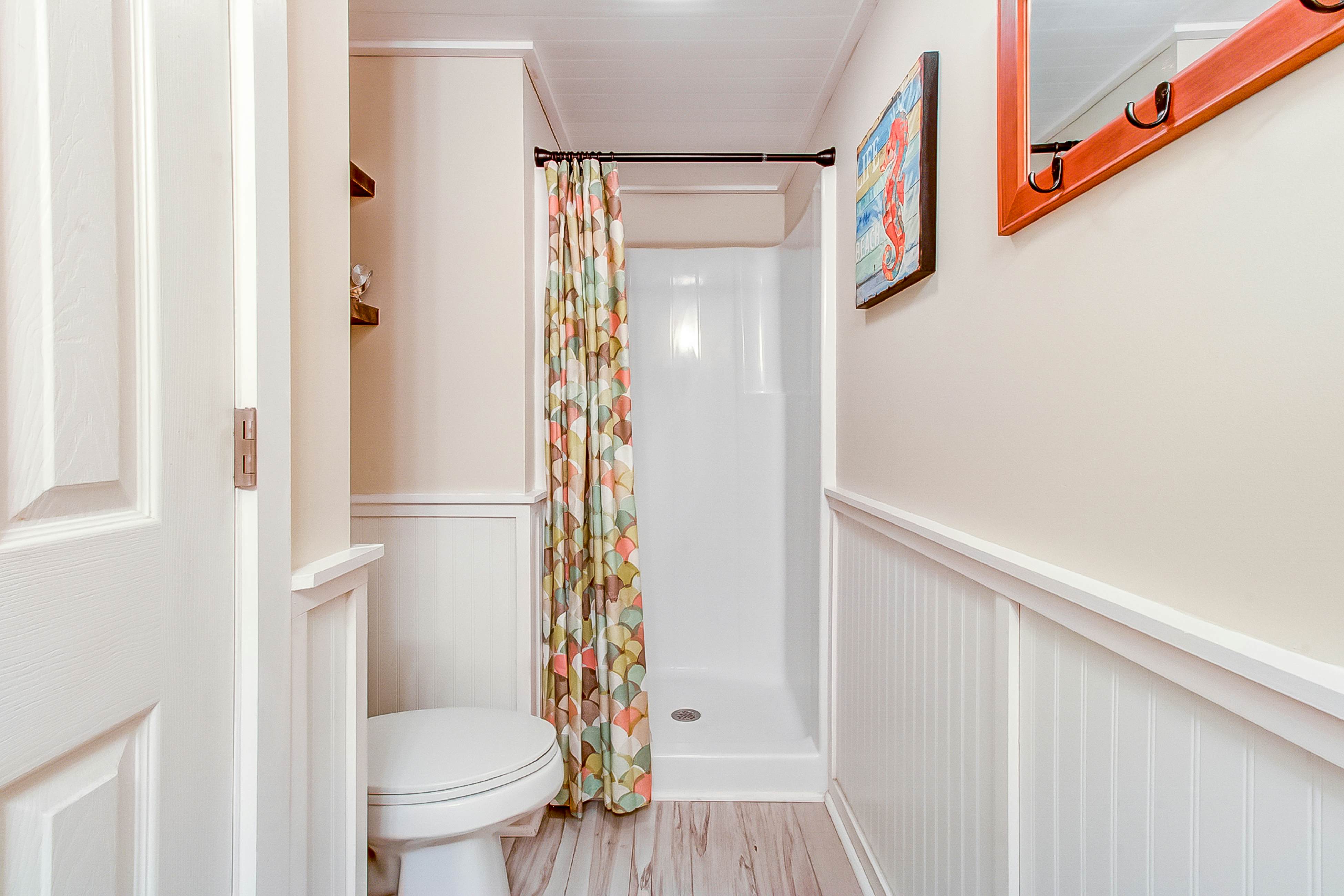 NTB48 The Sleepy Seastar