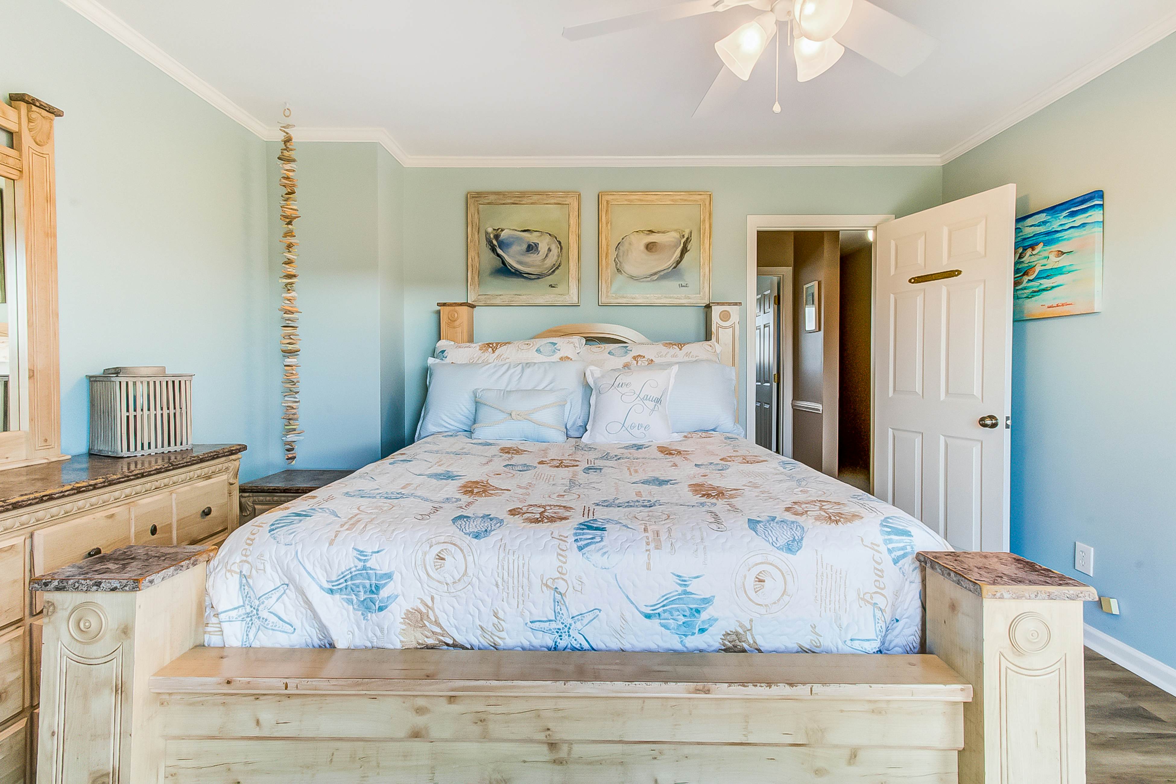 NTB48 The Sleepy Seastar