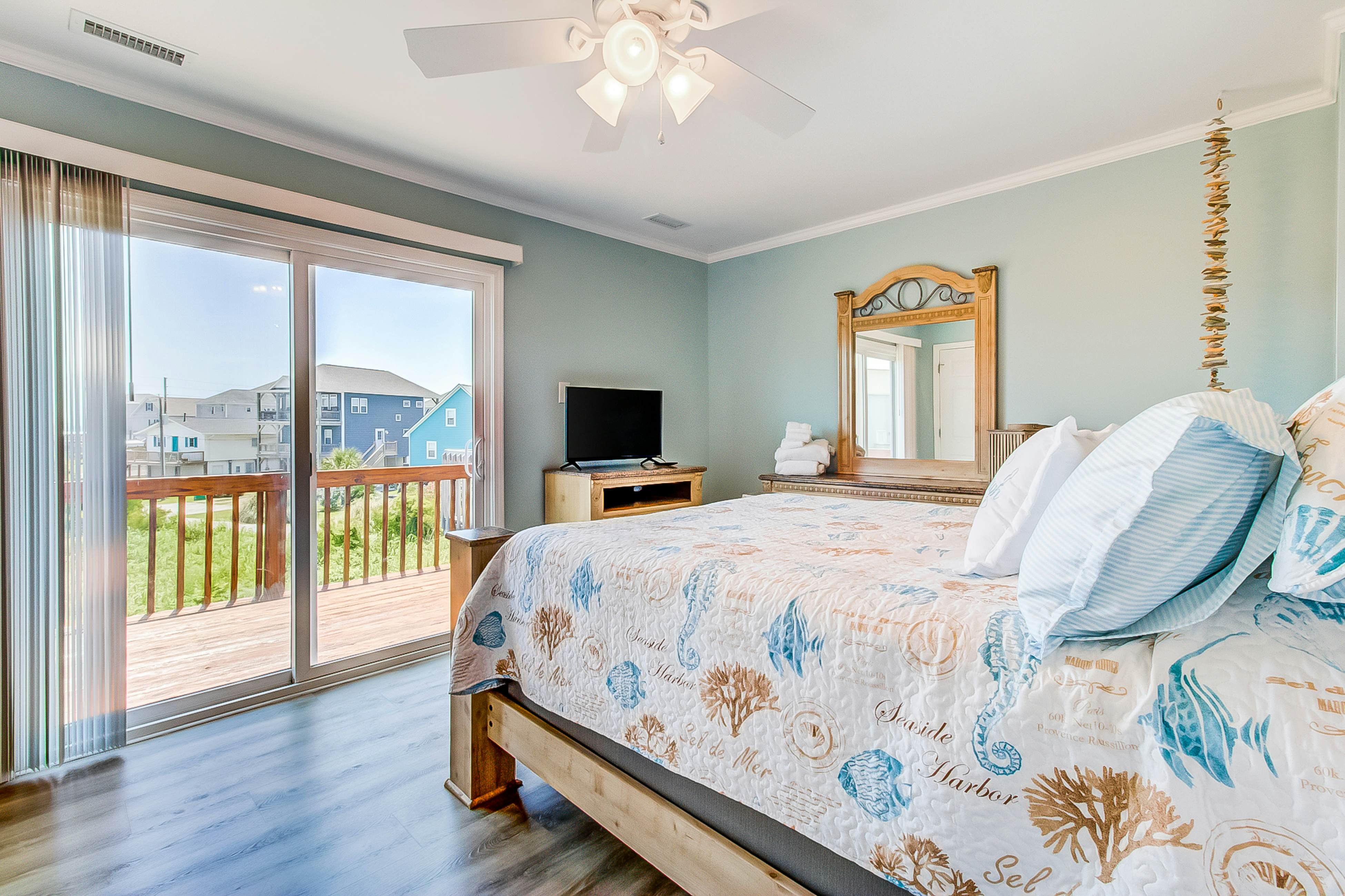 NTB48 The Sleepy Seastar