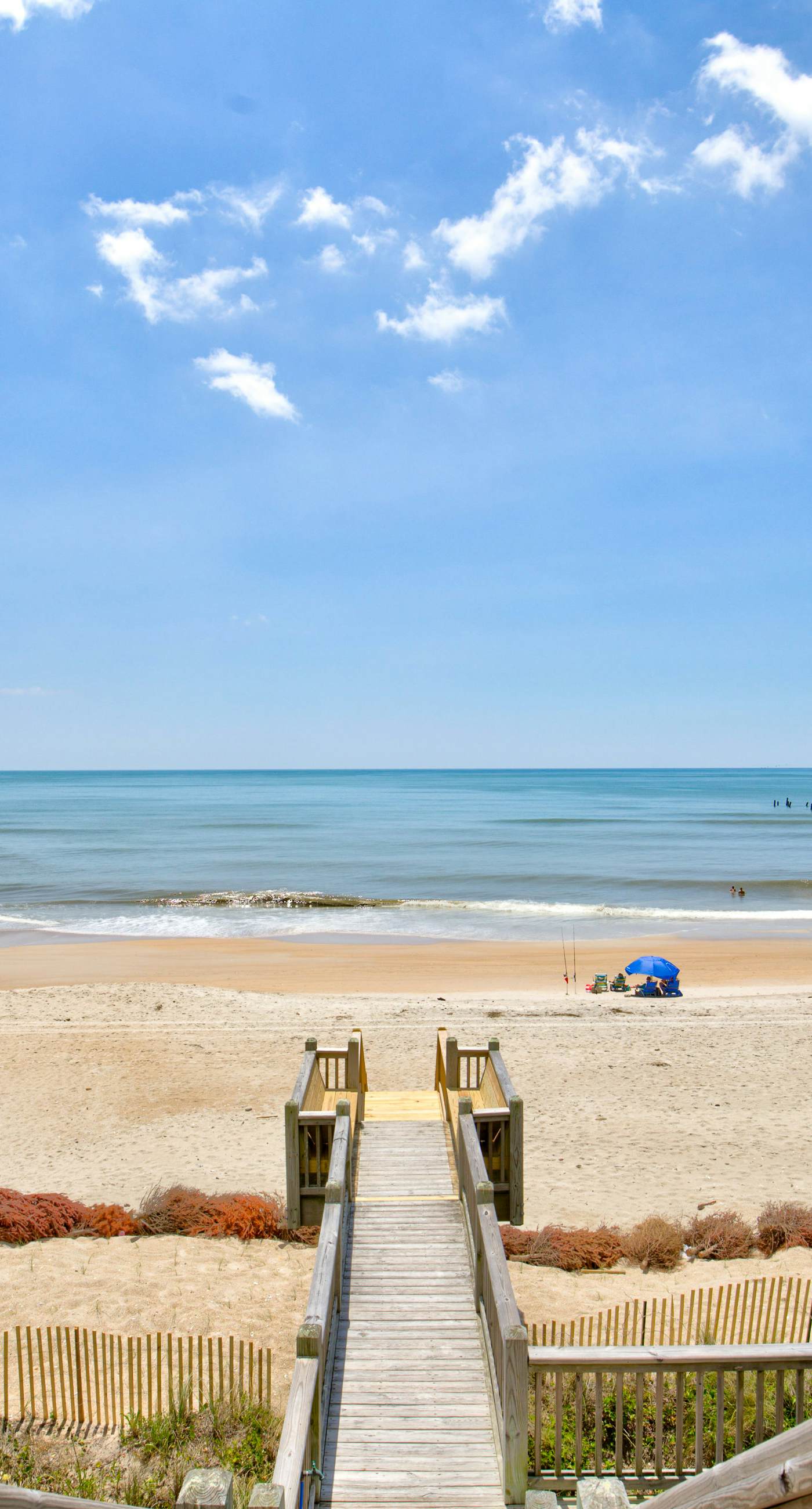 NTBGB205 Just Add Lime