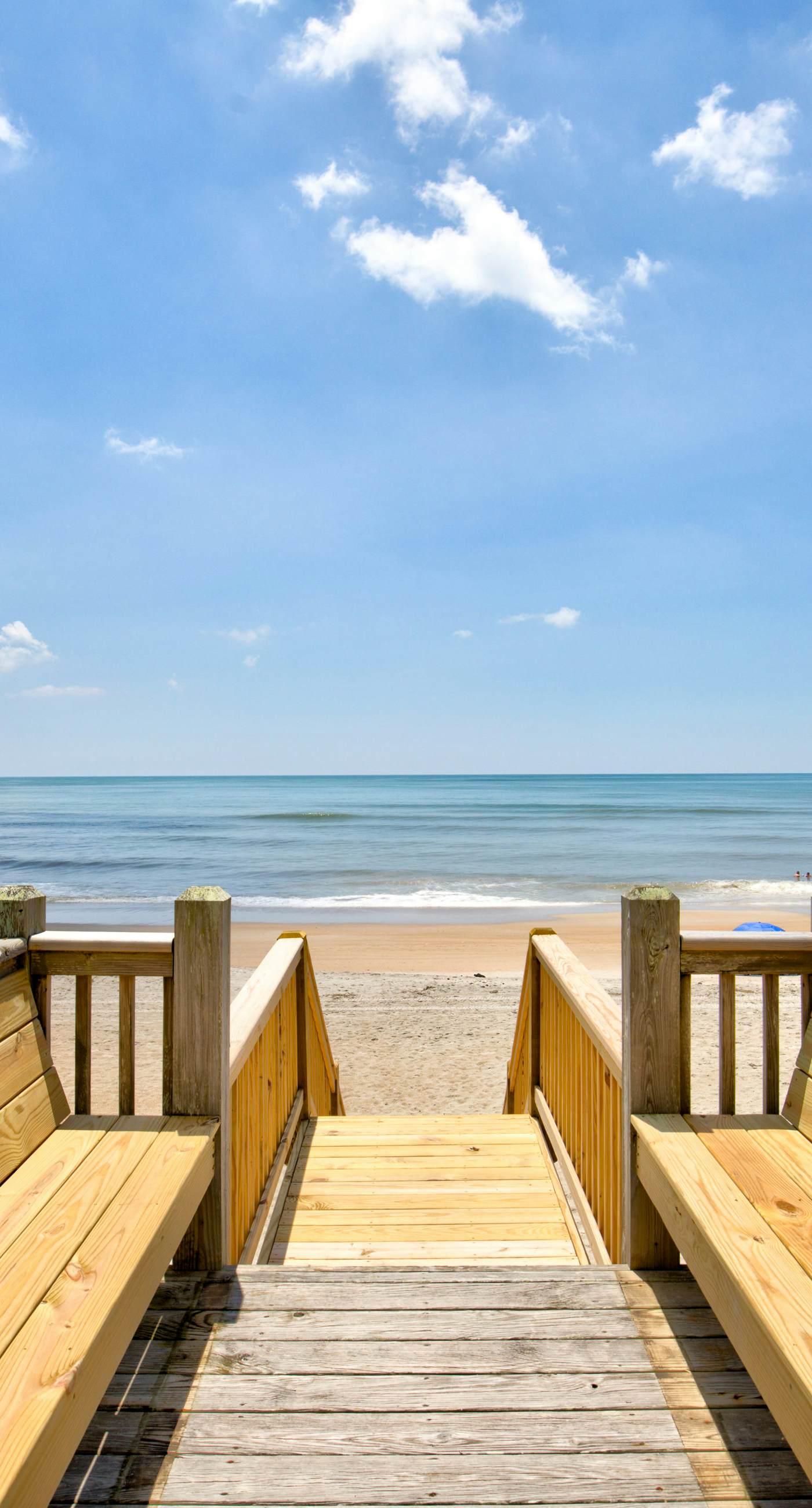 NTBGB205 Just Add Lime