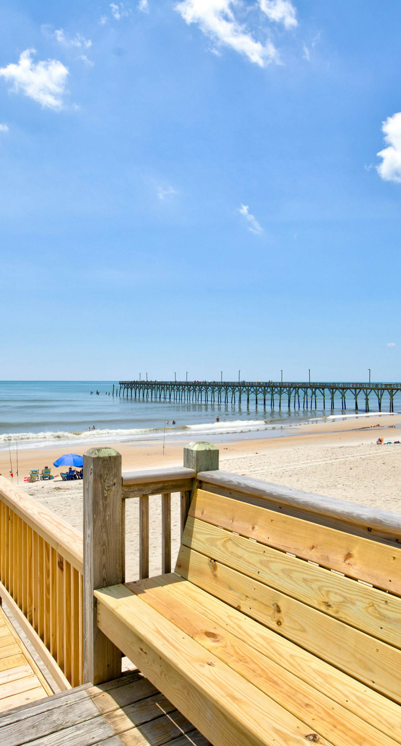 NTBGB205 Just Add Lime