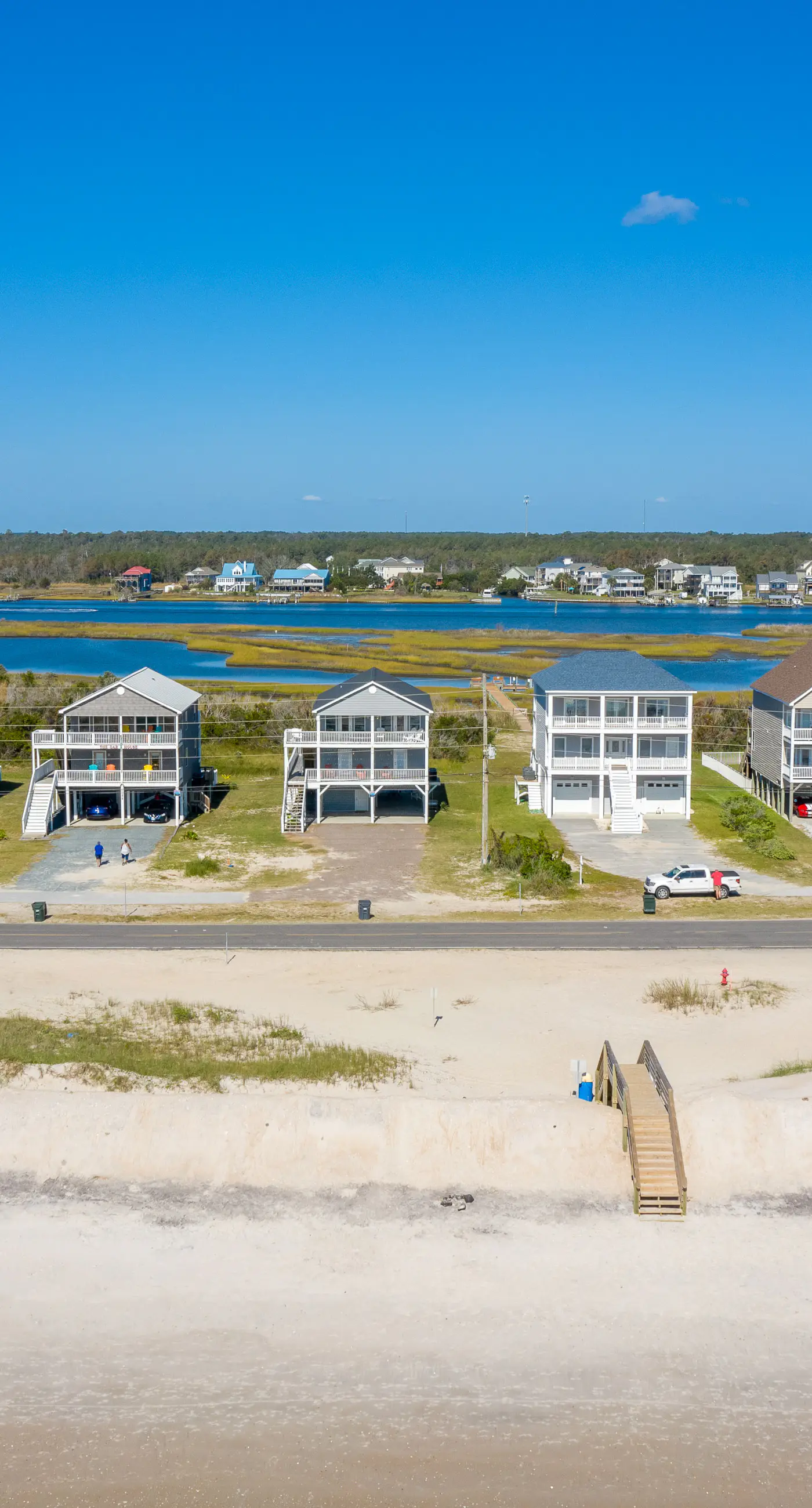 NTB1259 Endless Summer