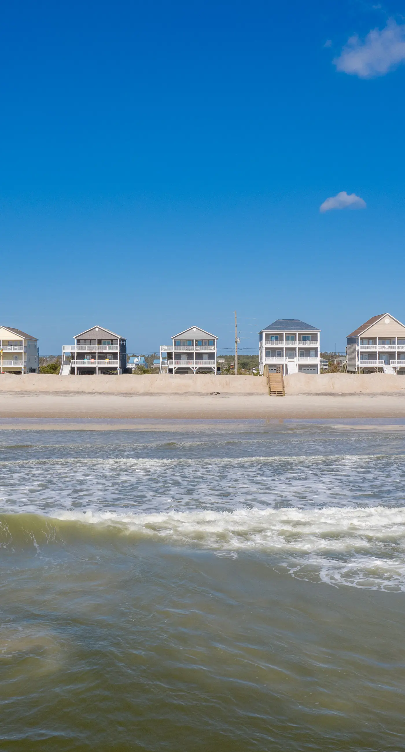 NTB1259 Endless Summer