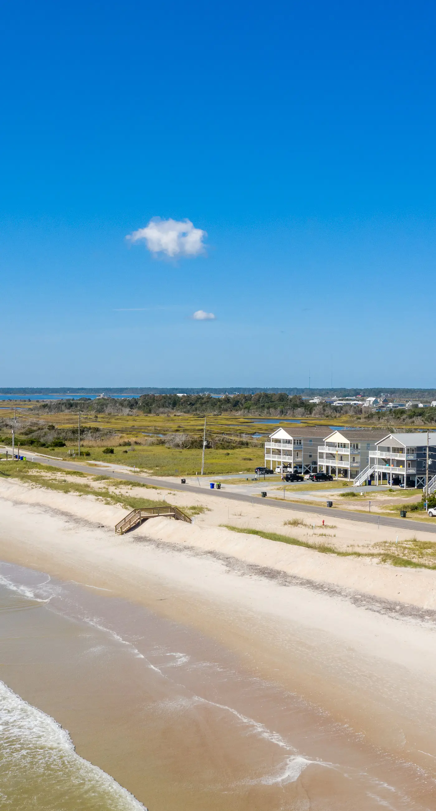 NTB1259 Endless Summer