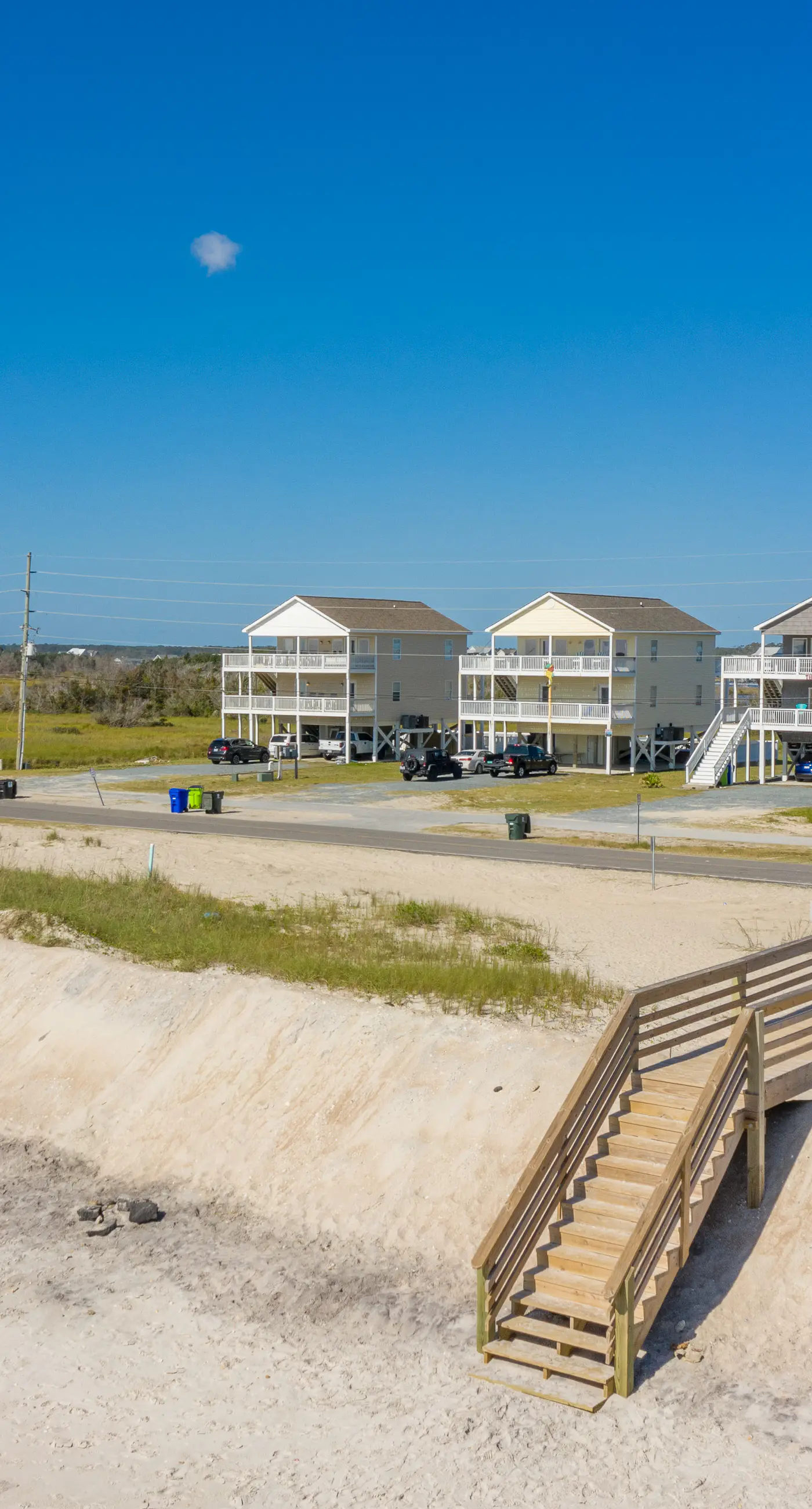 NTB1259 Endless Summer