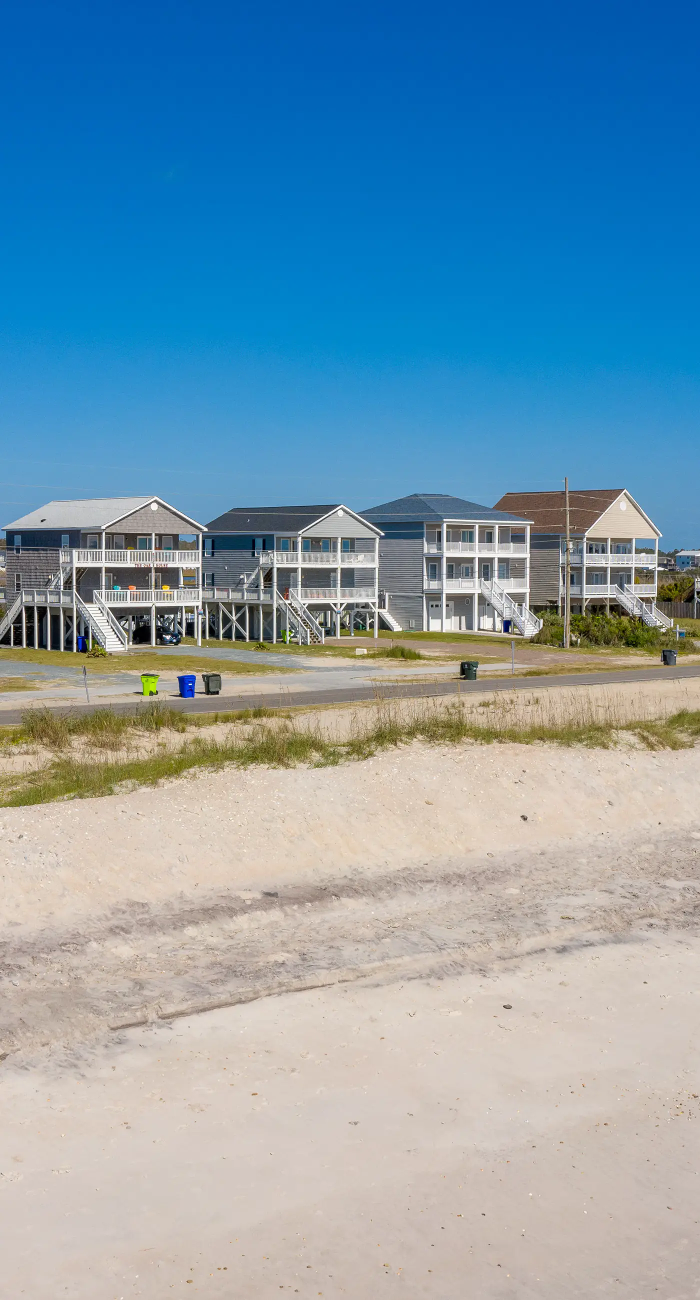 NTB1259 Endless Summer