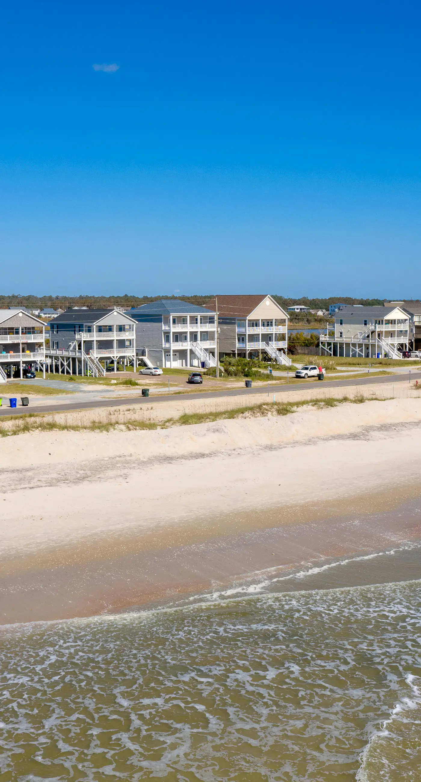 NTB1259 Endless Summer