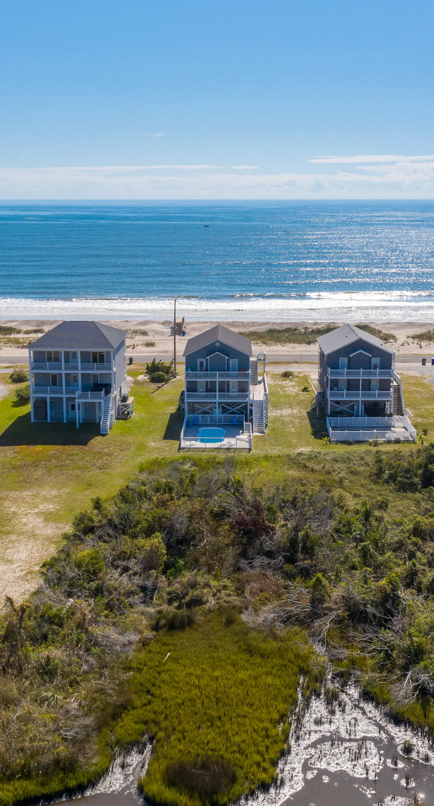 NTB1259 Endless Summer