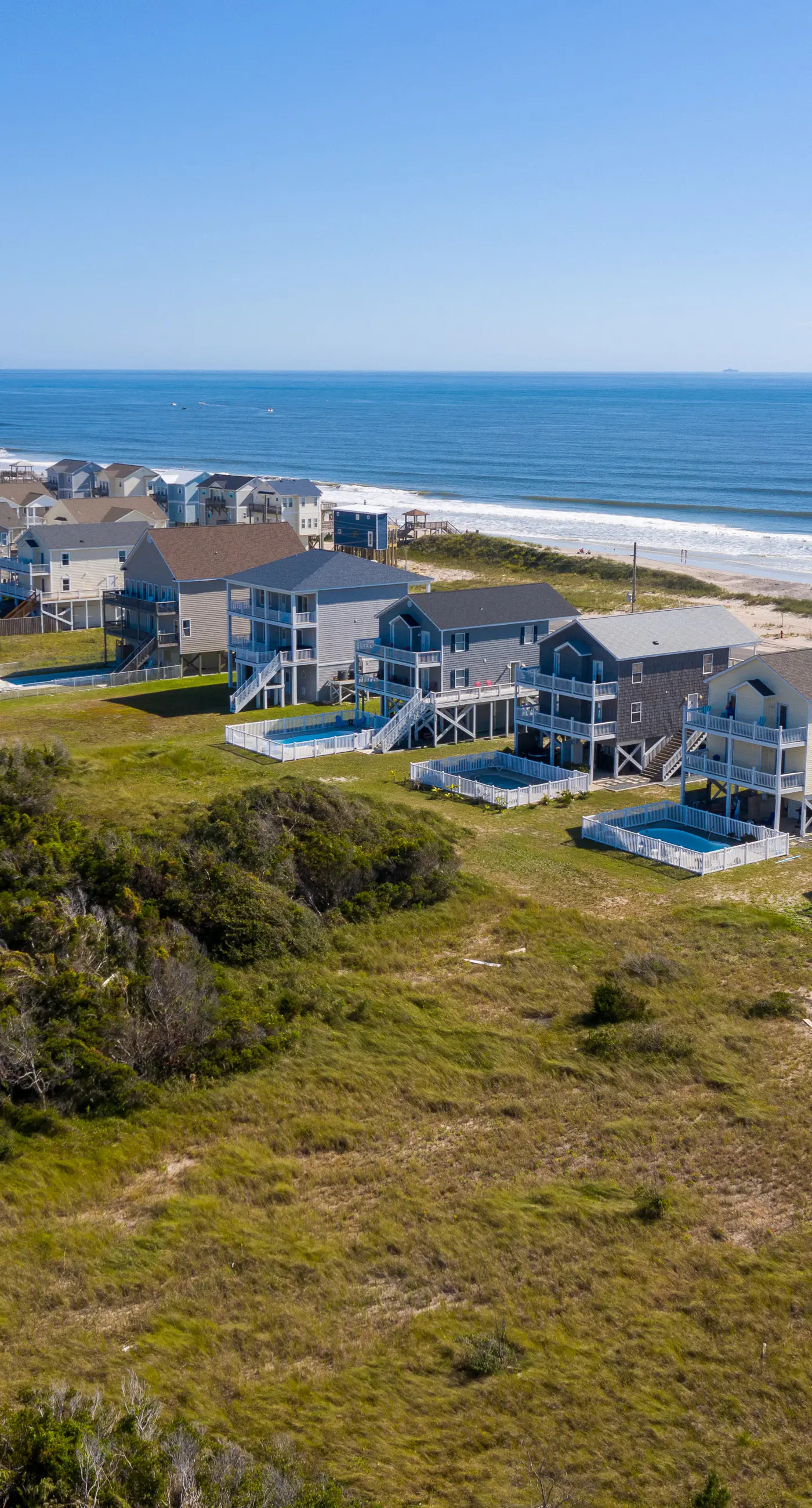 NTB1259 Endless Summer