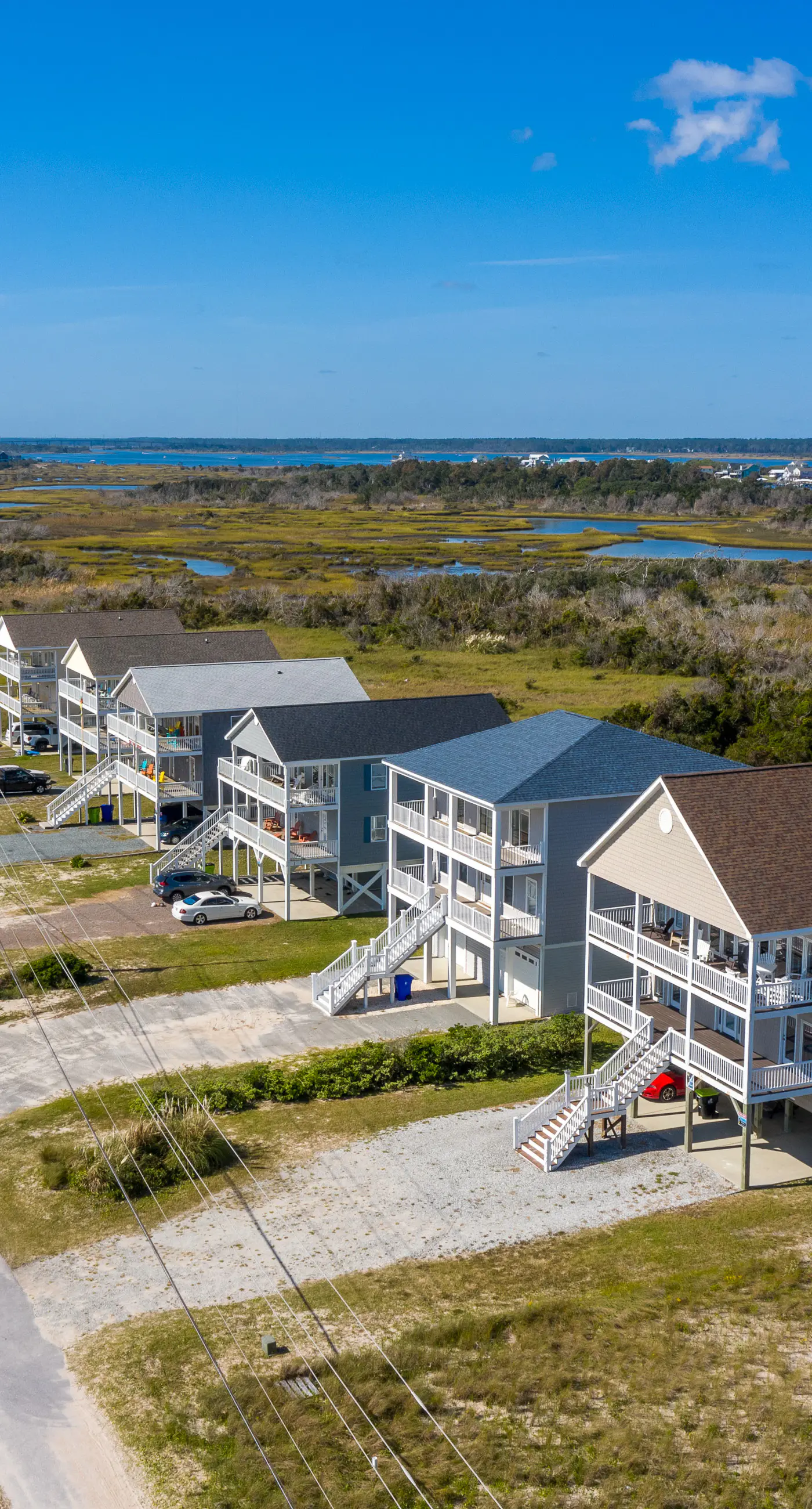 NTB1259 Endless Summer