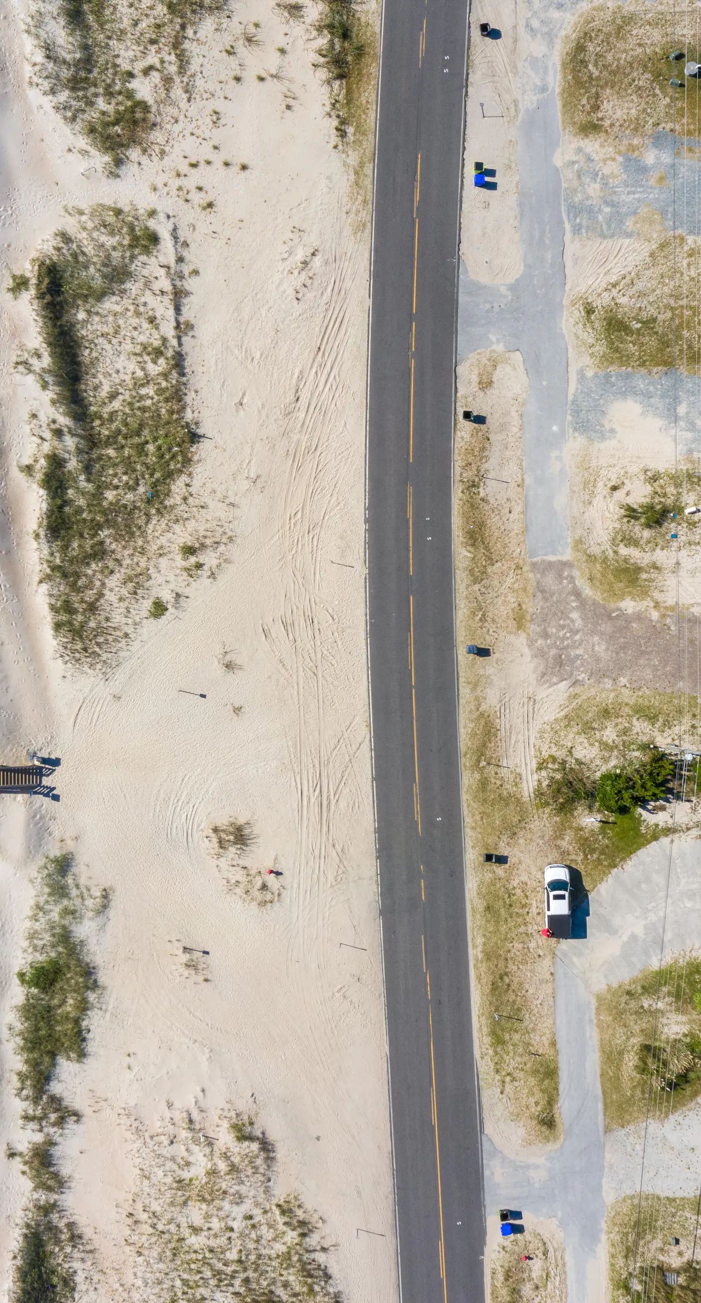 NTB1259 Endless Summer