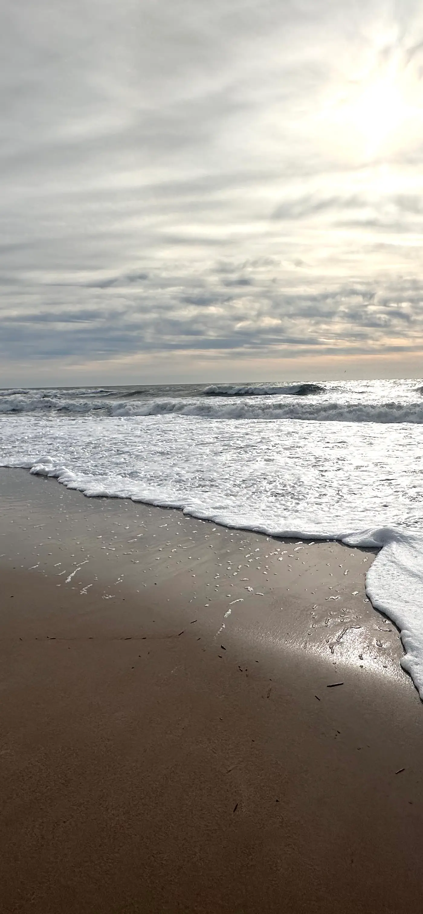 NTB1259 Endless Summer