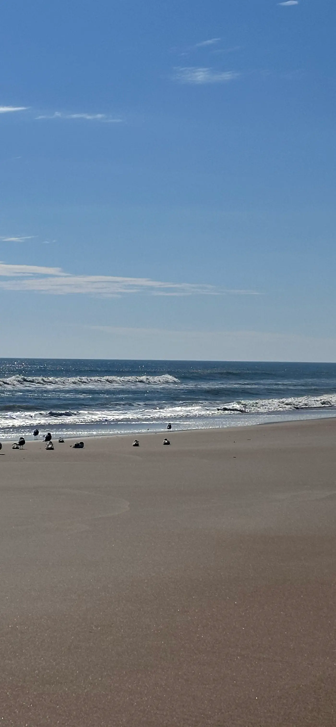 NTB1259 Endless Summer