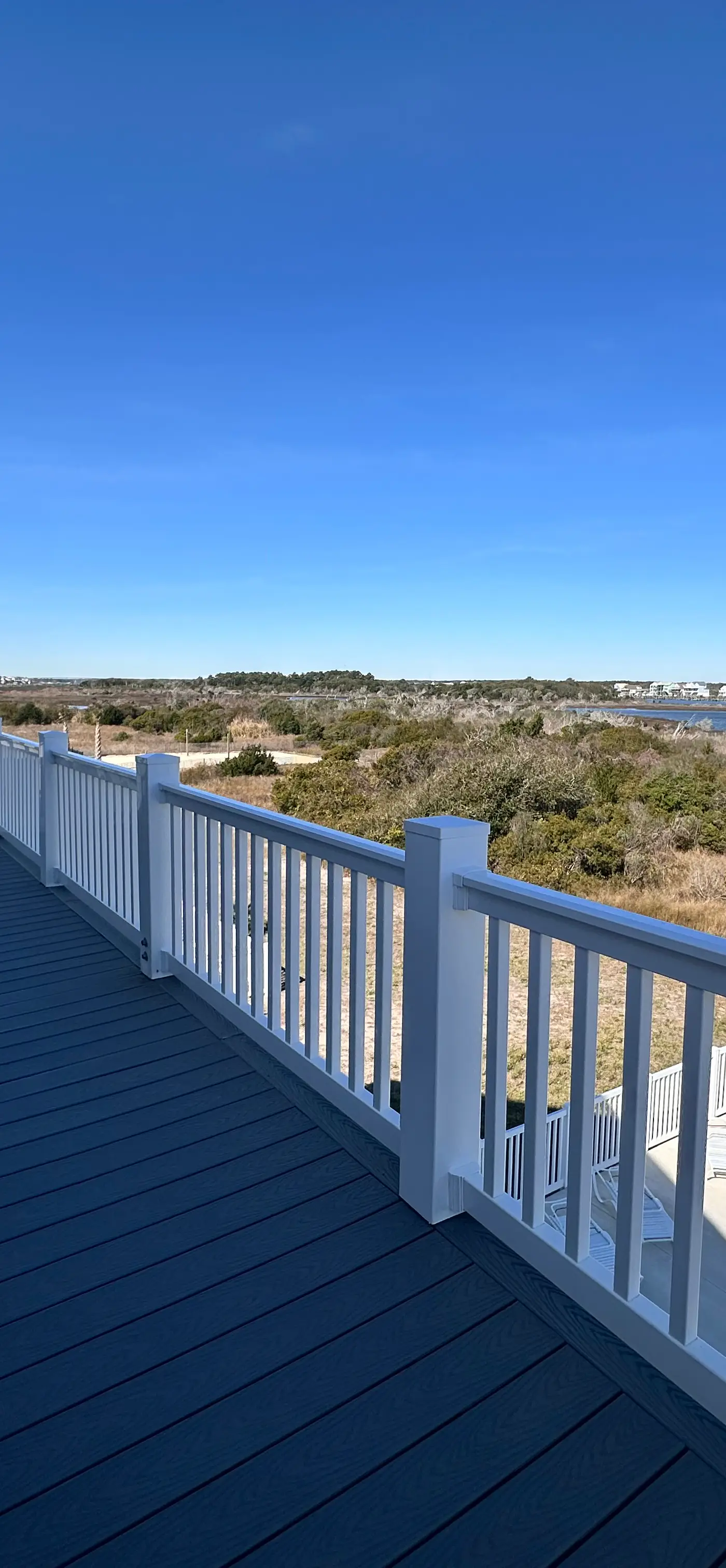 NTB1259 Endless Summer