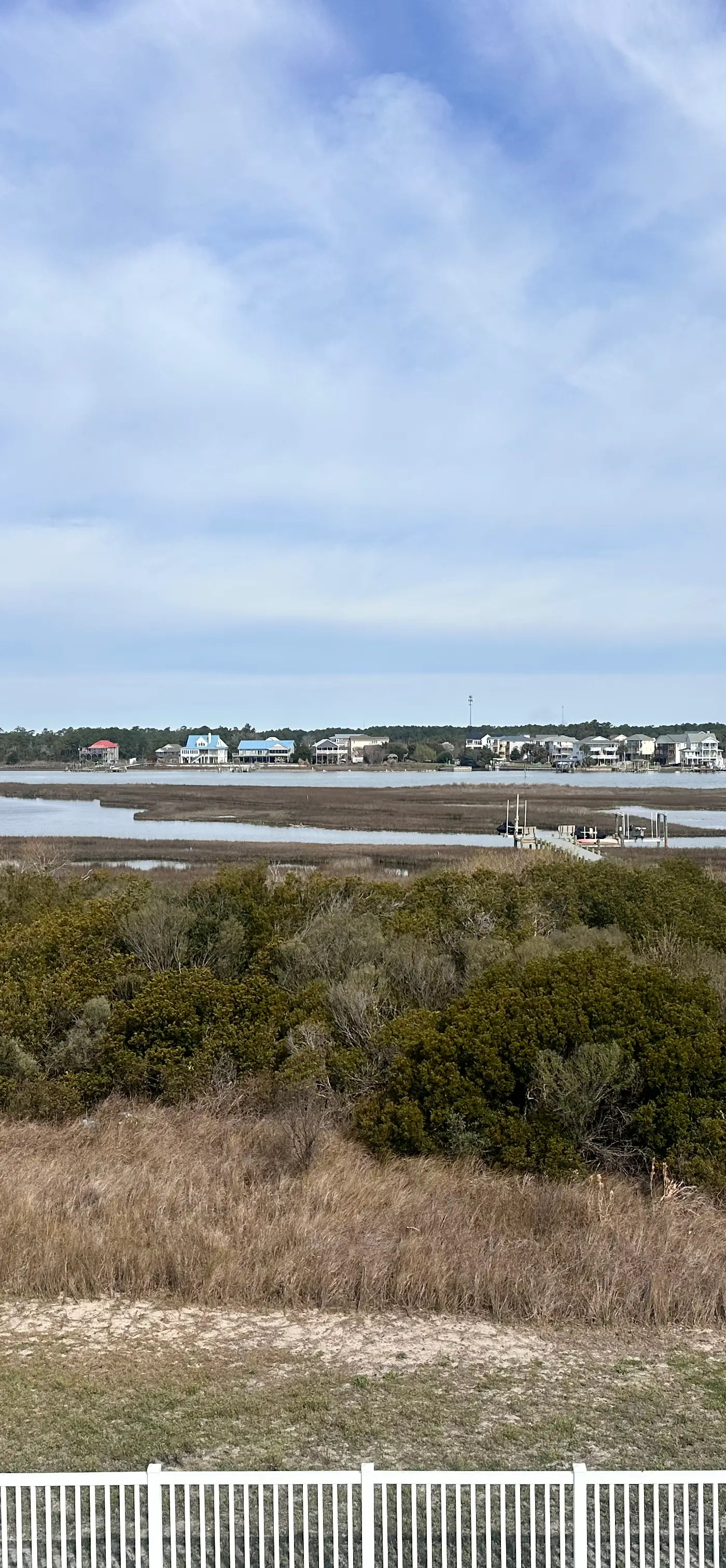 NTB1259 Endless Summer